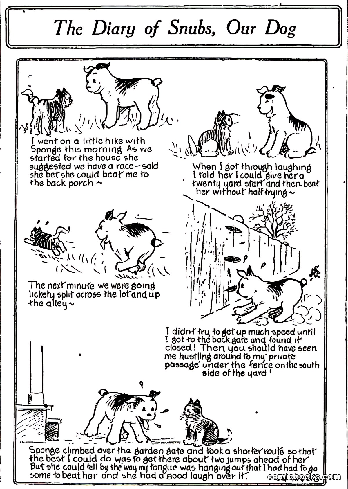 The Diary of Snubs, Our Dog