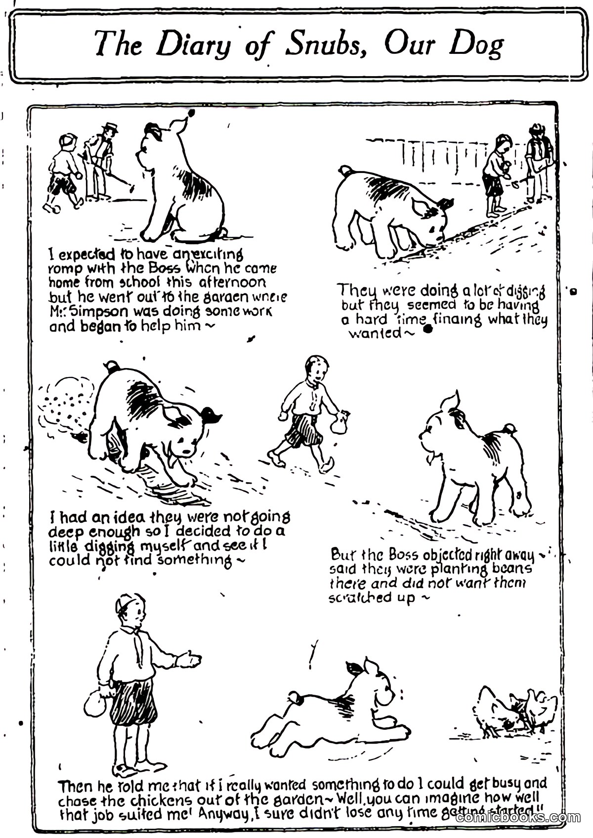 The Diary of Snubs, Our Dog