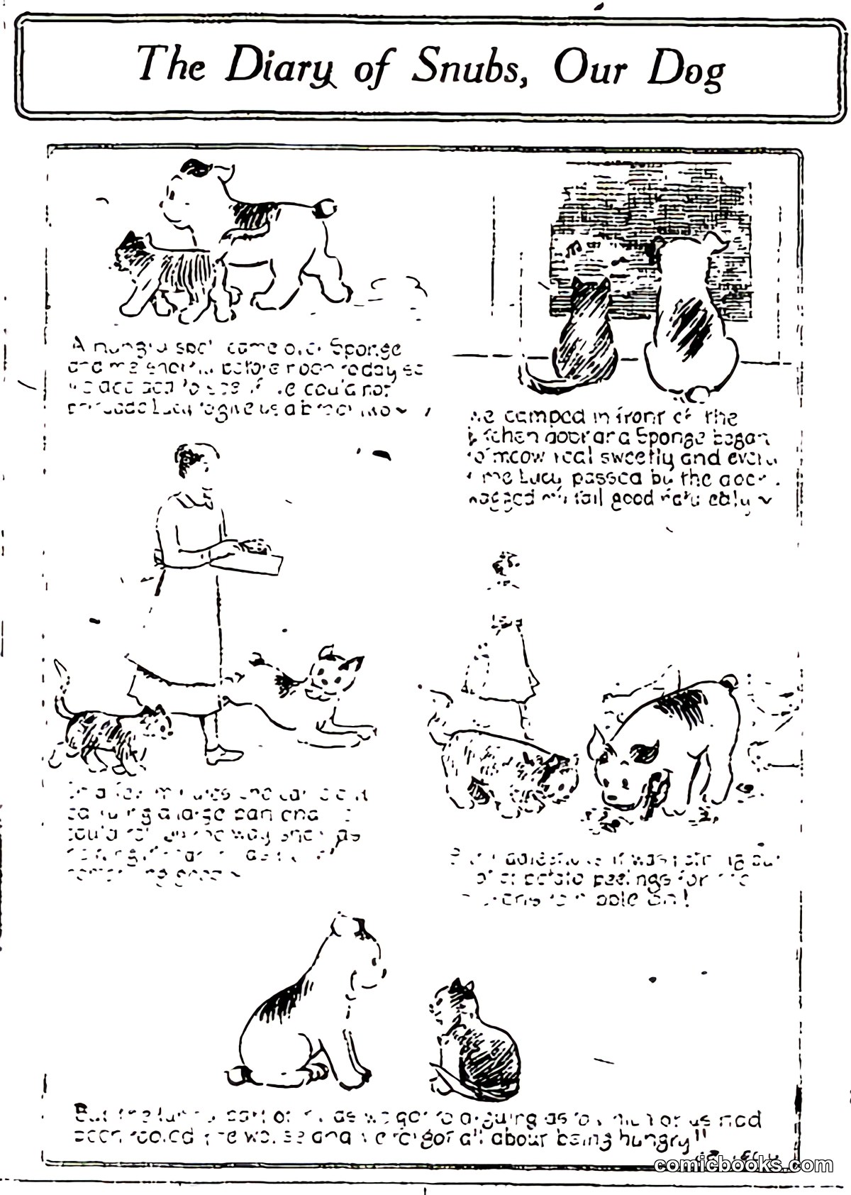 The Diary of Snubs, Our Dog