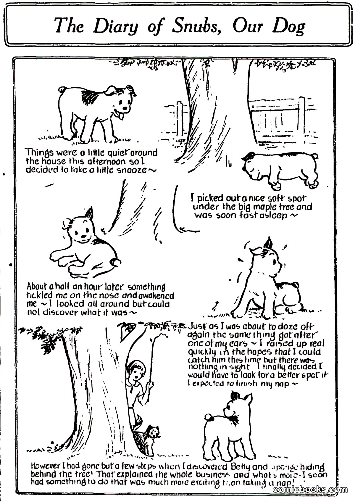 The Diary of Snubs, Our Dog