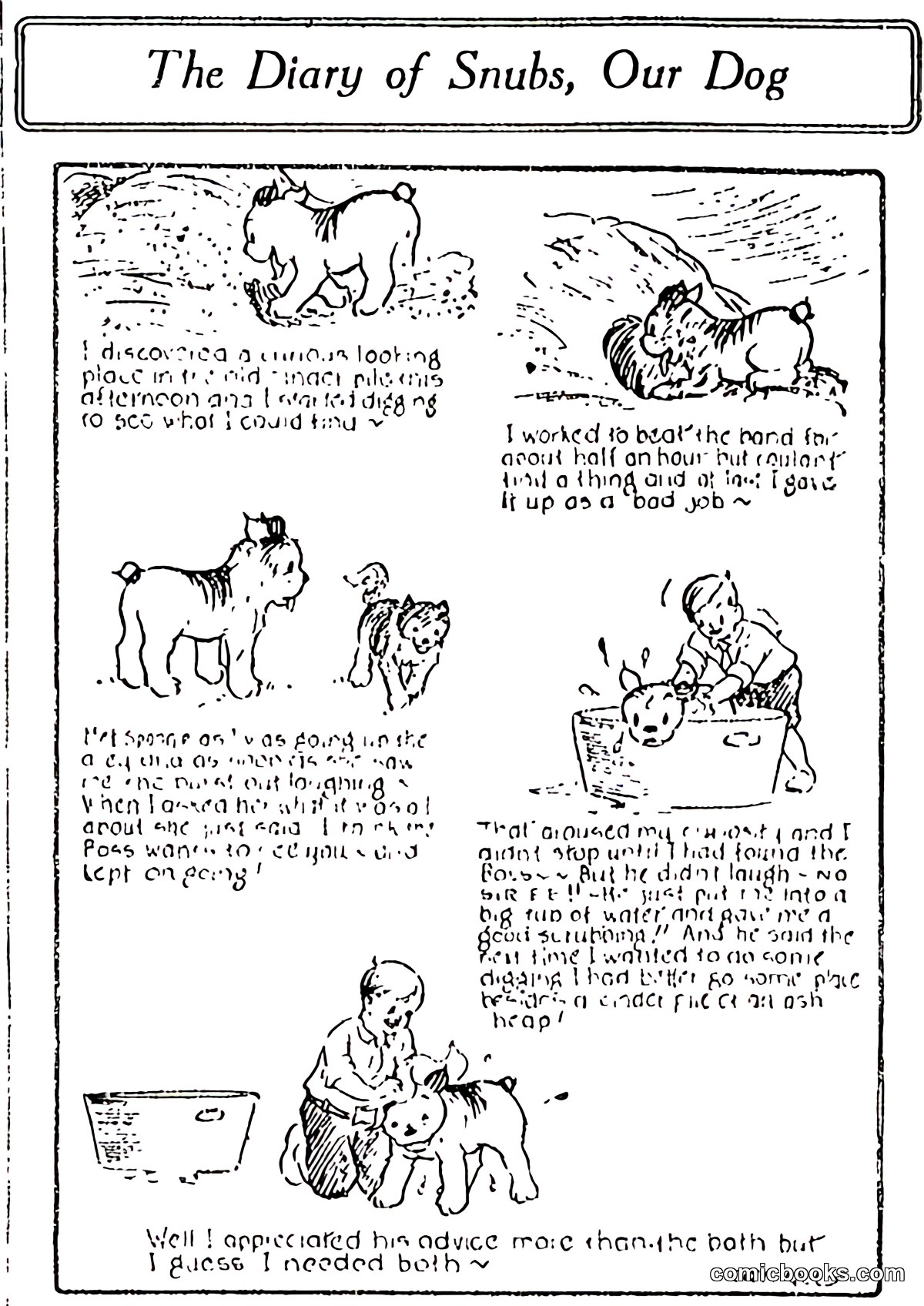 The Diary of Snubs, Our Dog