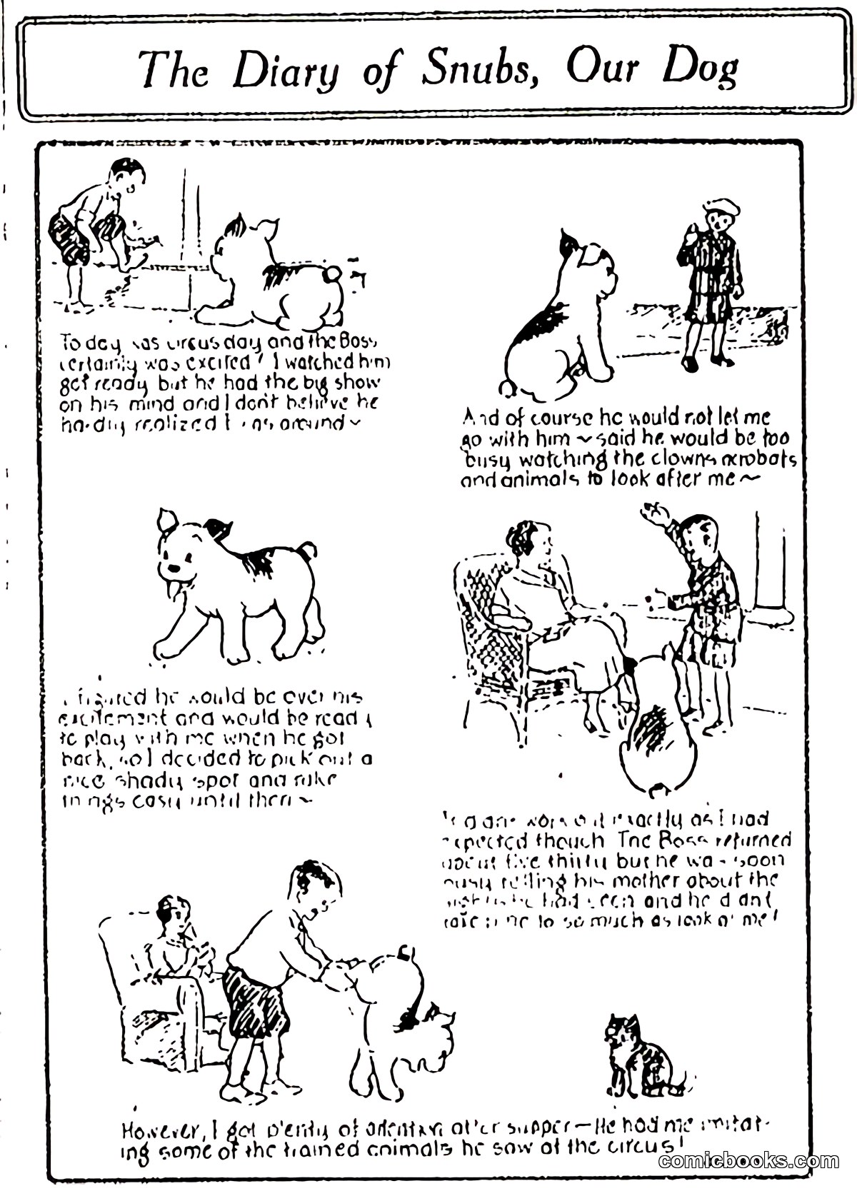 The Diary of Snubs, Our Dog