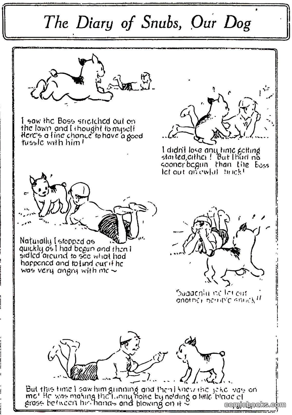 The Diary of Snubs, Our Dog