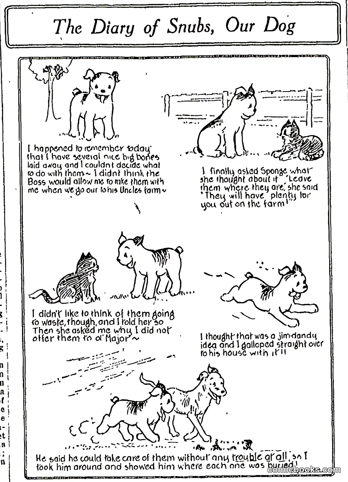 The Diary of Snubs, Our Dog