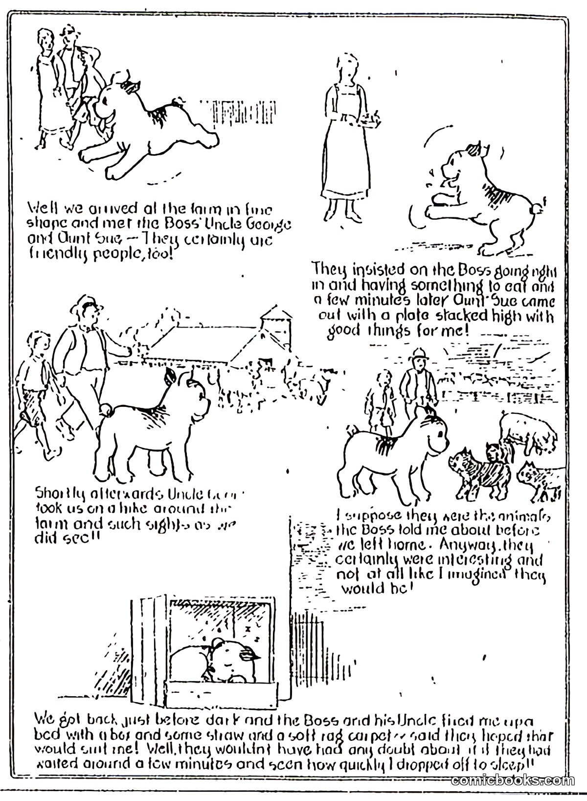 Diary of Snubs, Our Dog