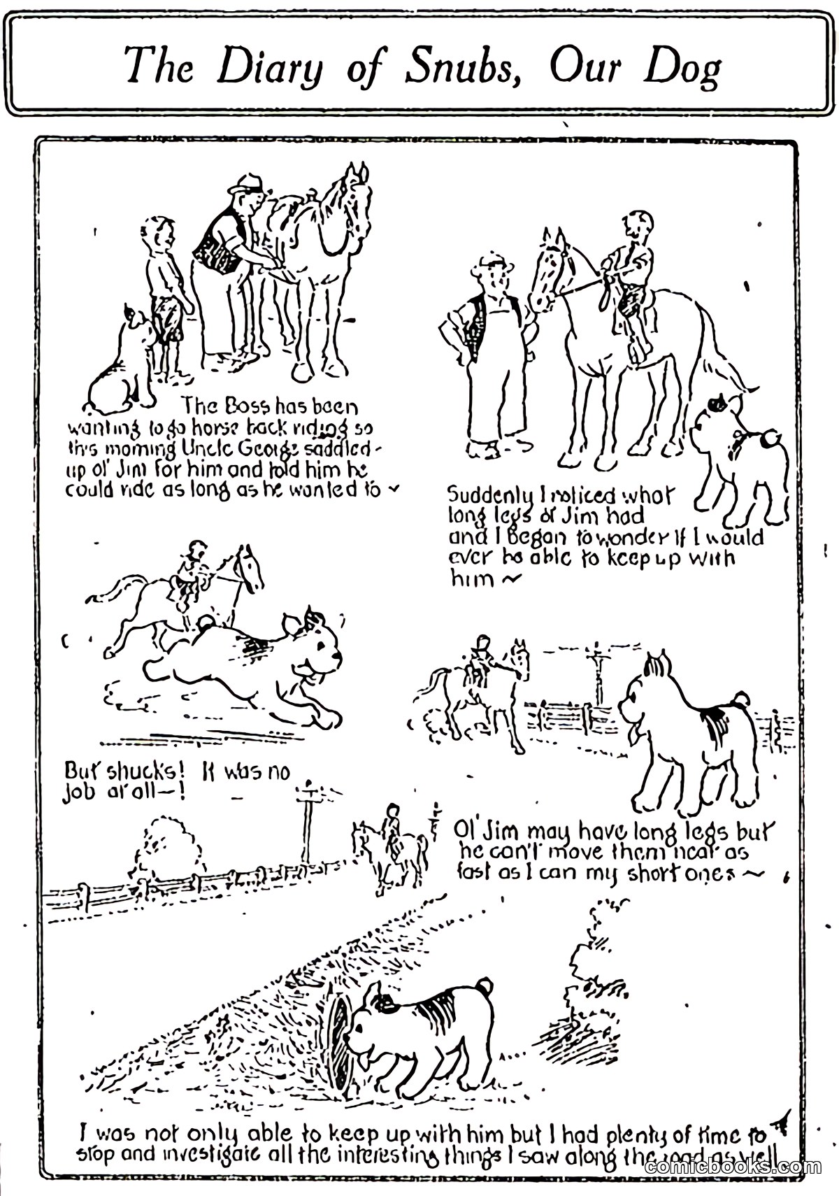 The Diary of Snubs, Our Dog