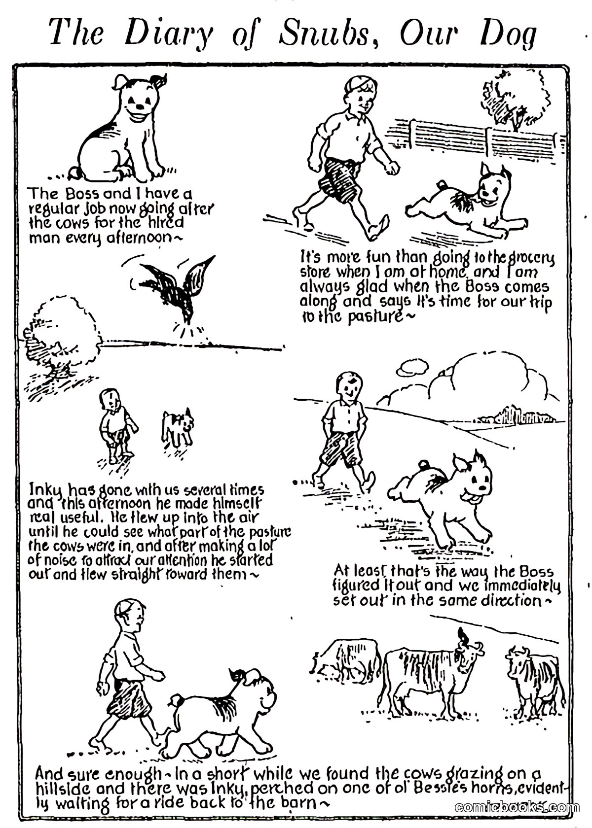 The Diary of Snubs, Our Dog