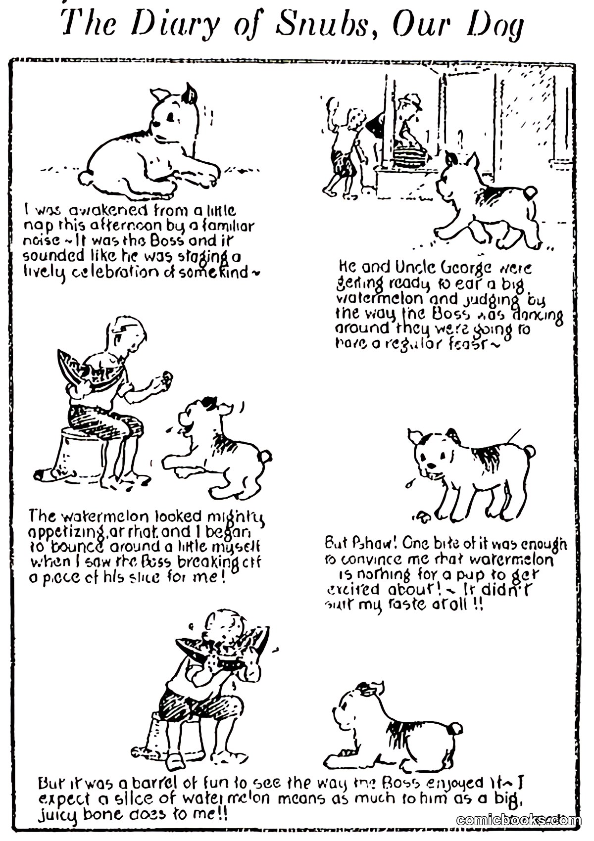 The Diary of Snubs, Our Dog