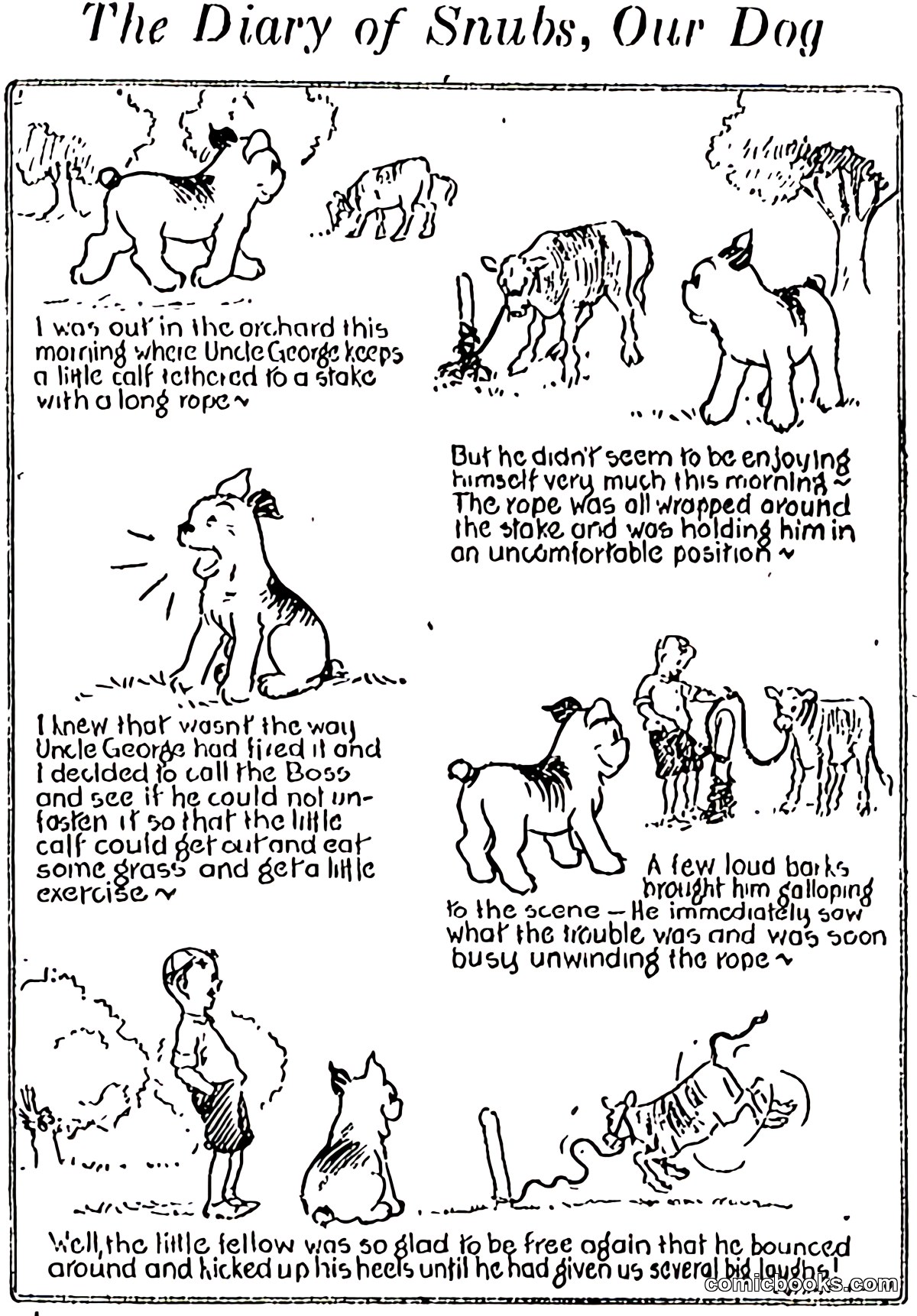 The Diary of Snubs, Our Dog