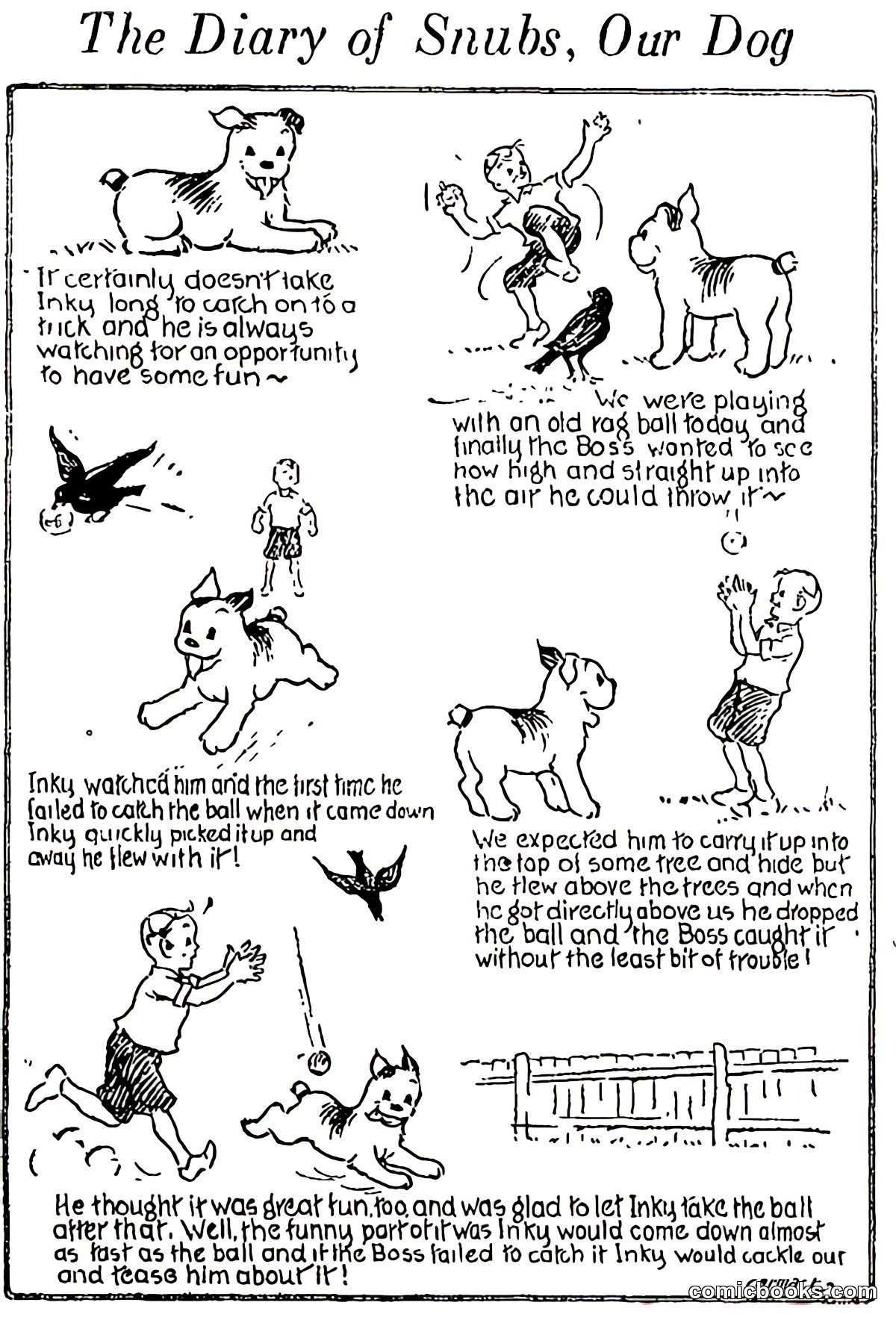 The Diary of Snubs, Our Dog