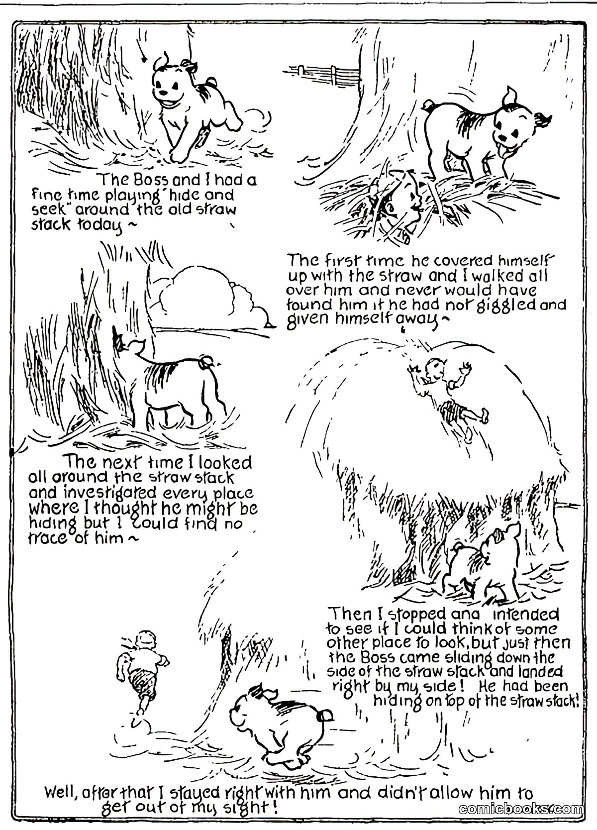 Diary of Snubs, Our Dog