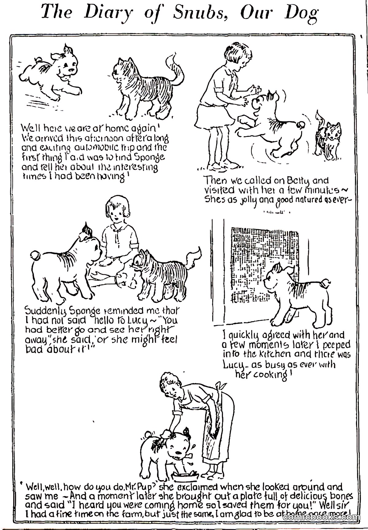 The Diary of Snubs, Our Dog