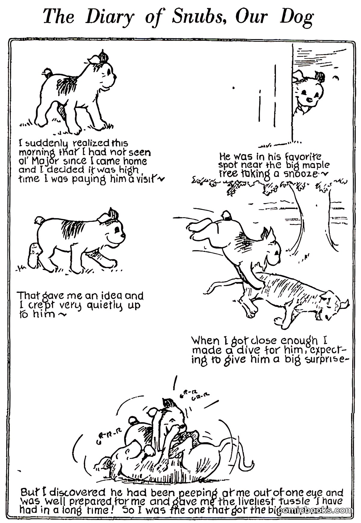 The Diary of Snubs, Our Dog