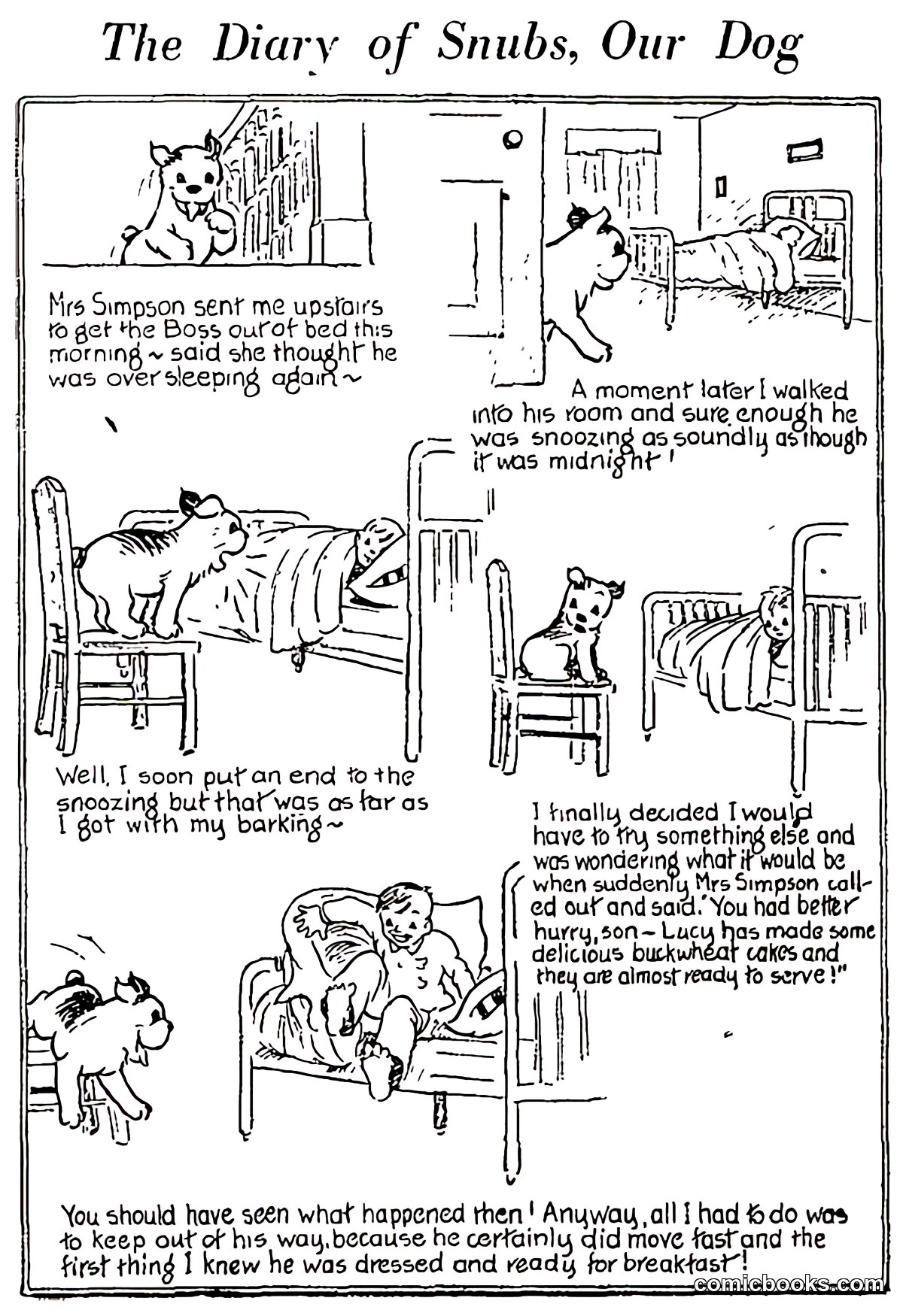 The Diary of Snubs, Our Dog