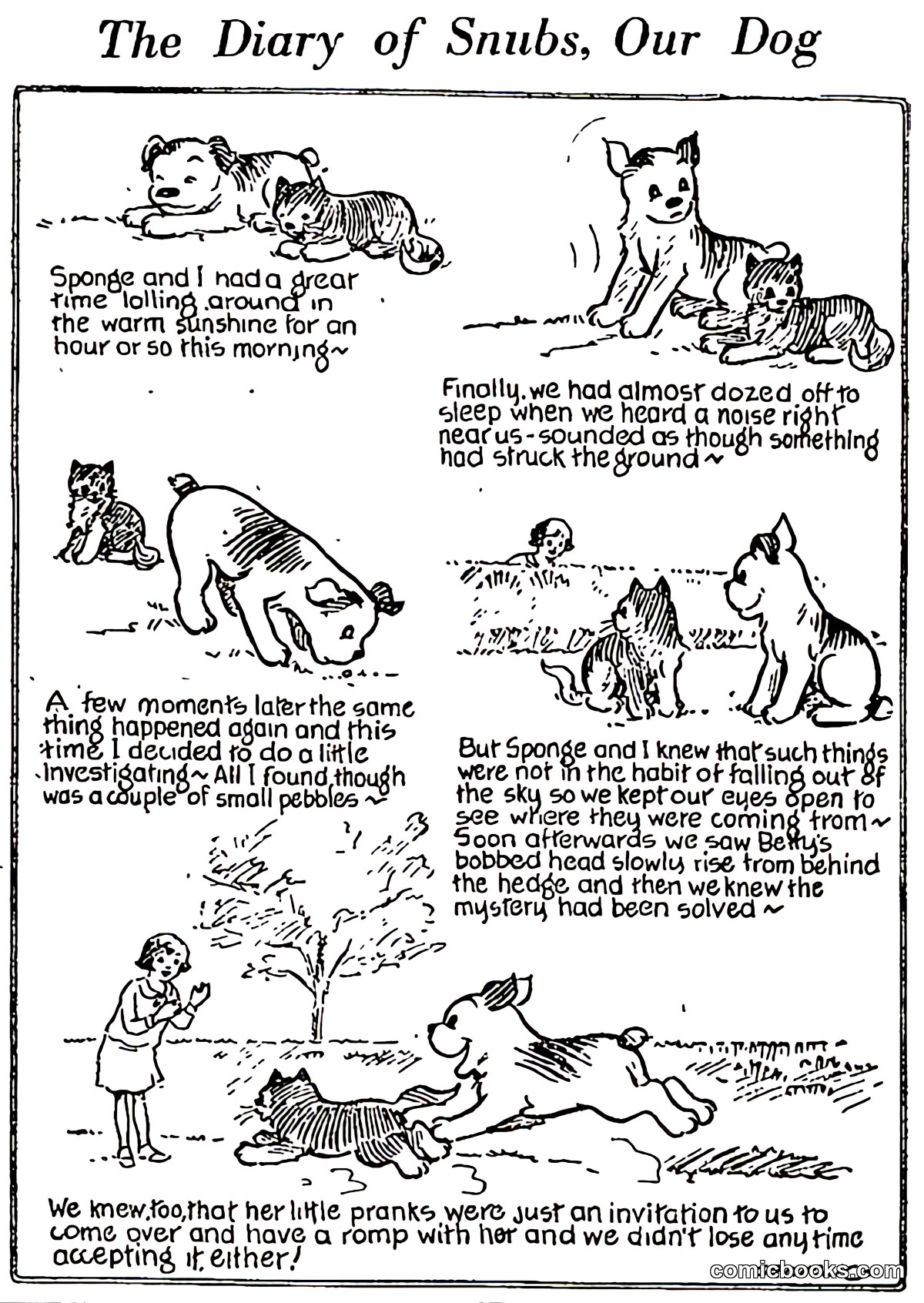 The Diary of Snubs, Our Dog