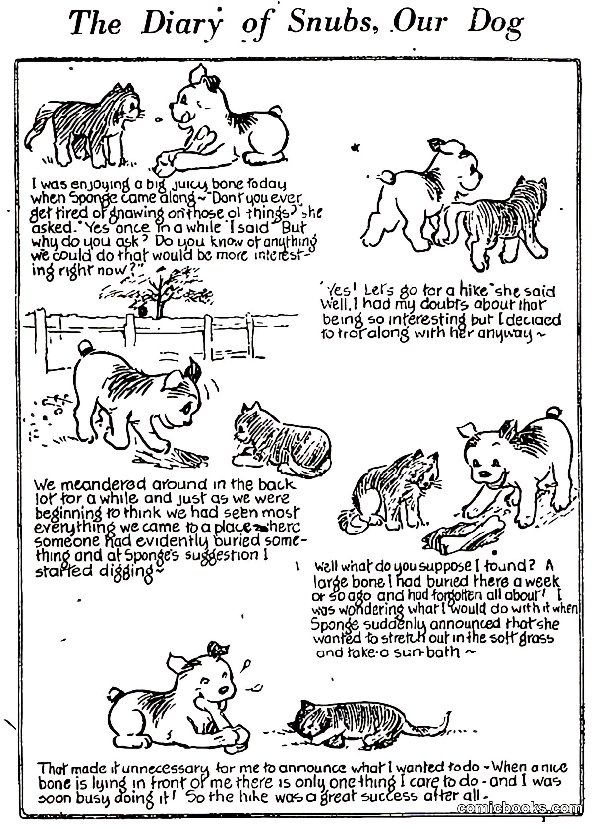 The Diary of Snubs, Our Dog