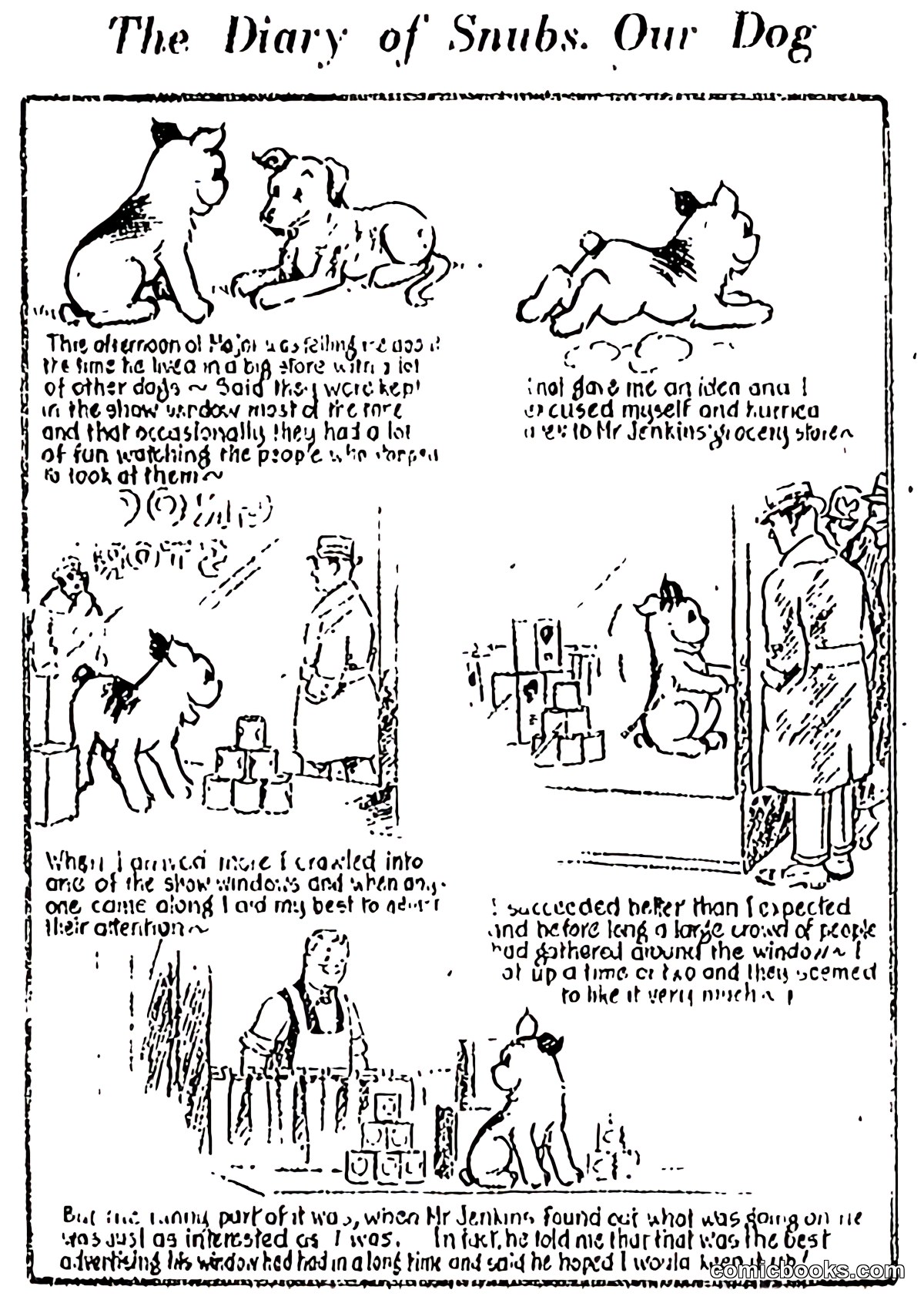 The Diary of Snubs, Our Dog
