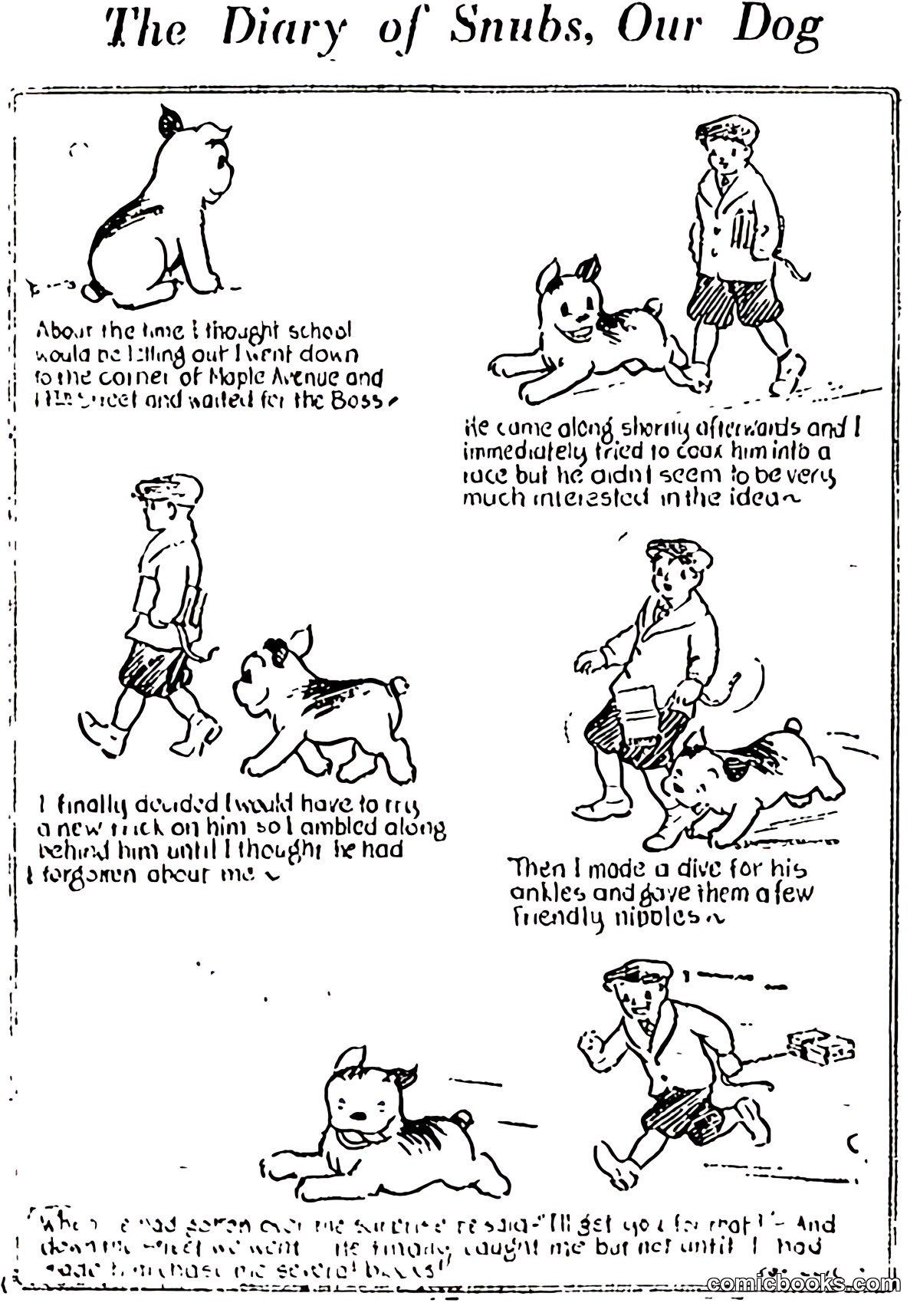 The Diary of Snubs, Our Dog