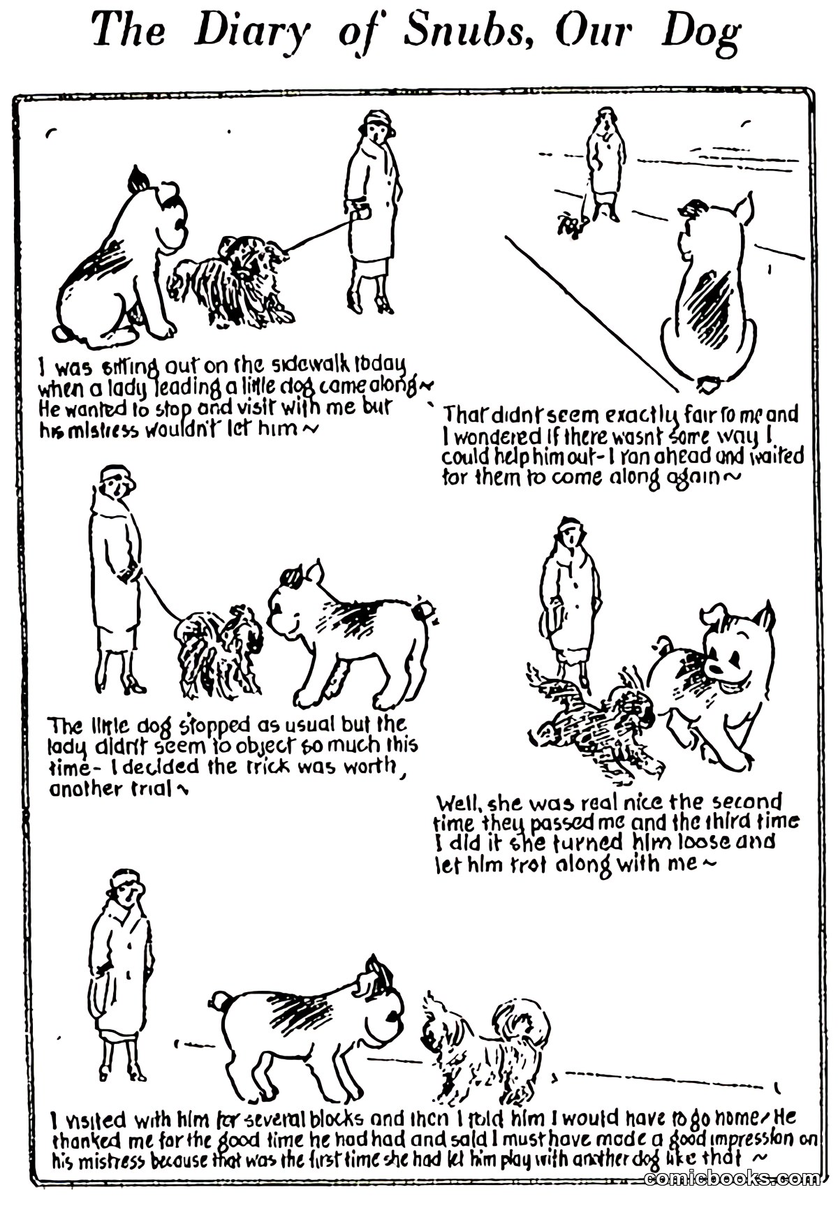 The Diary of Snubs, Our Dog