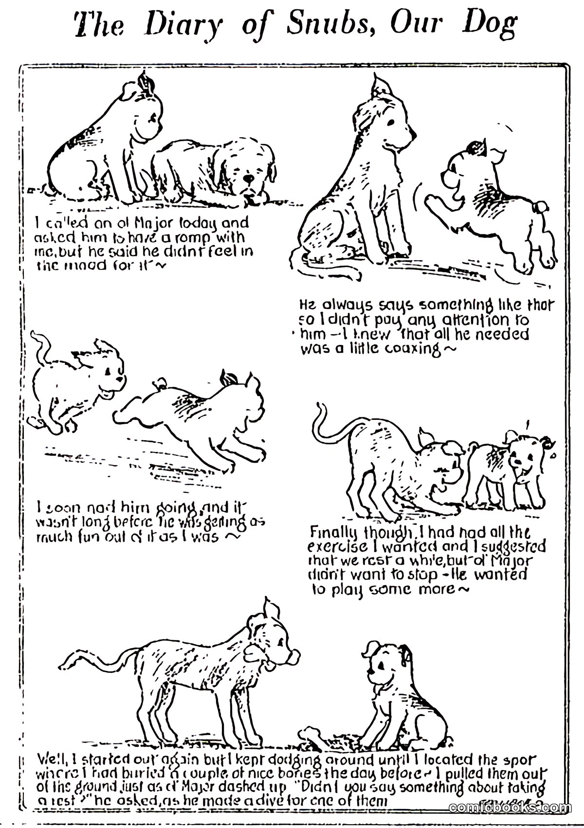 The Diary of Snubs, Our Dog