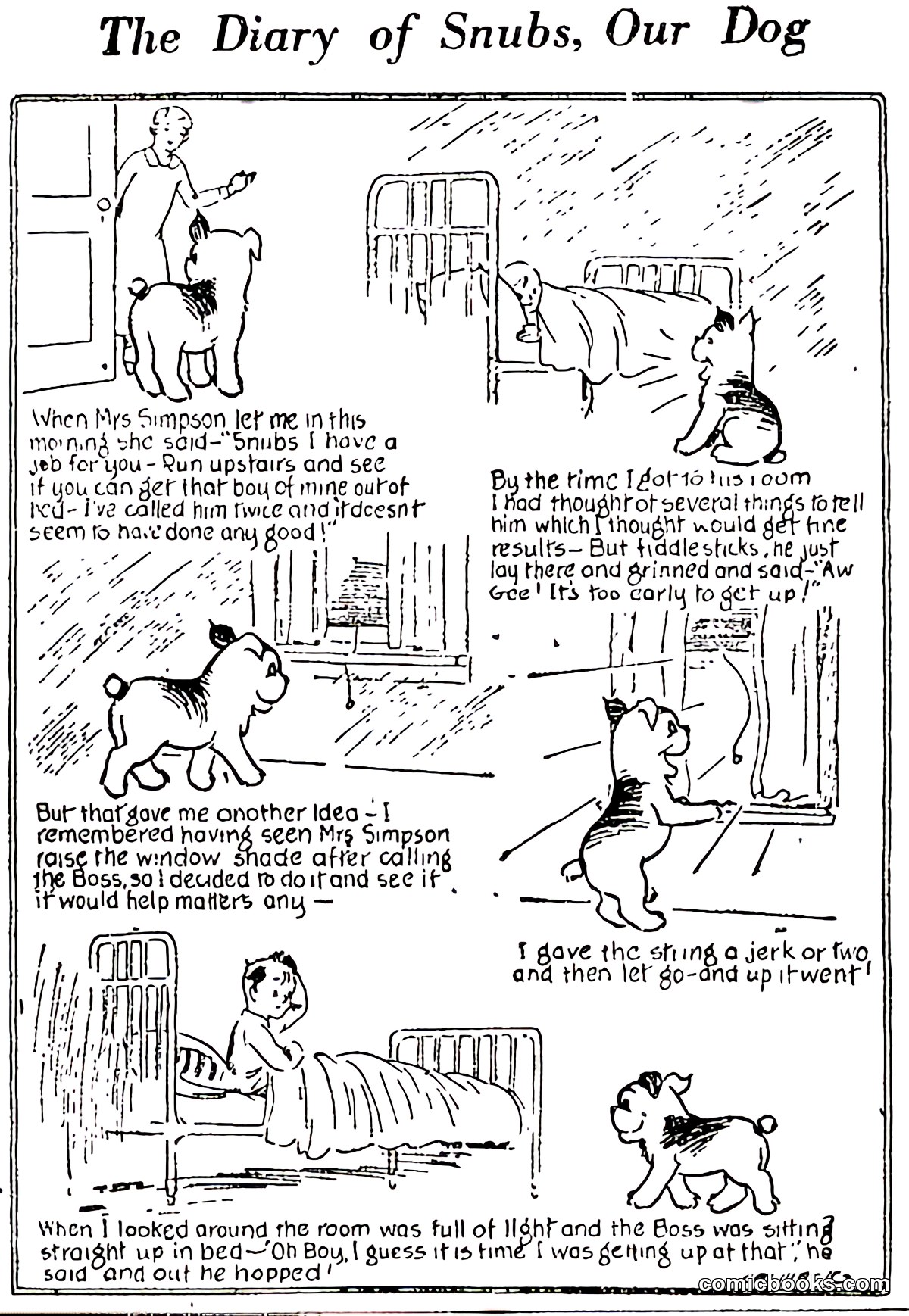The Diary of Snubs, Our Dog