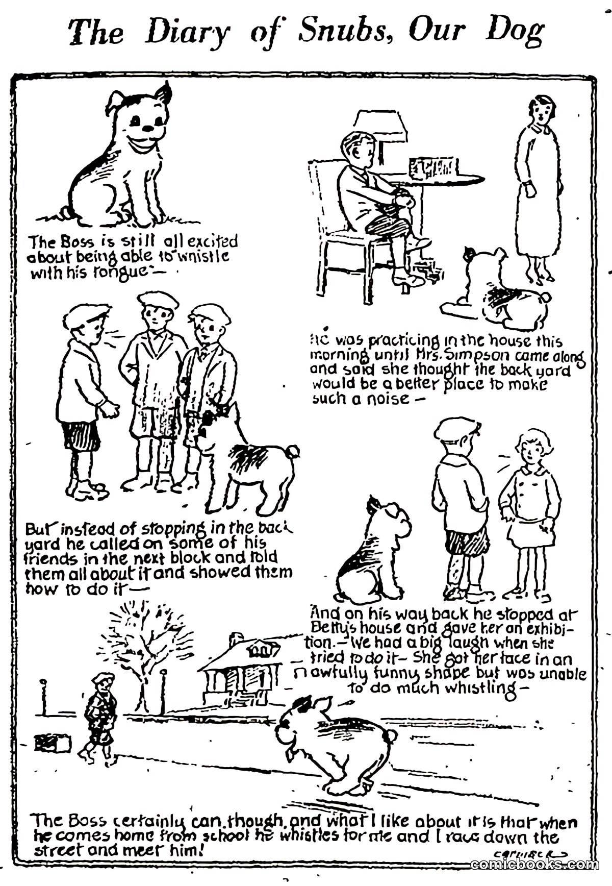 The Diary of Snubs, Our Dog