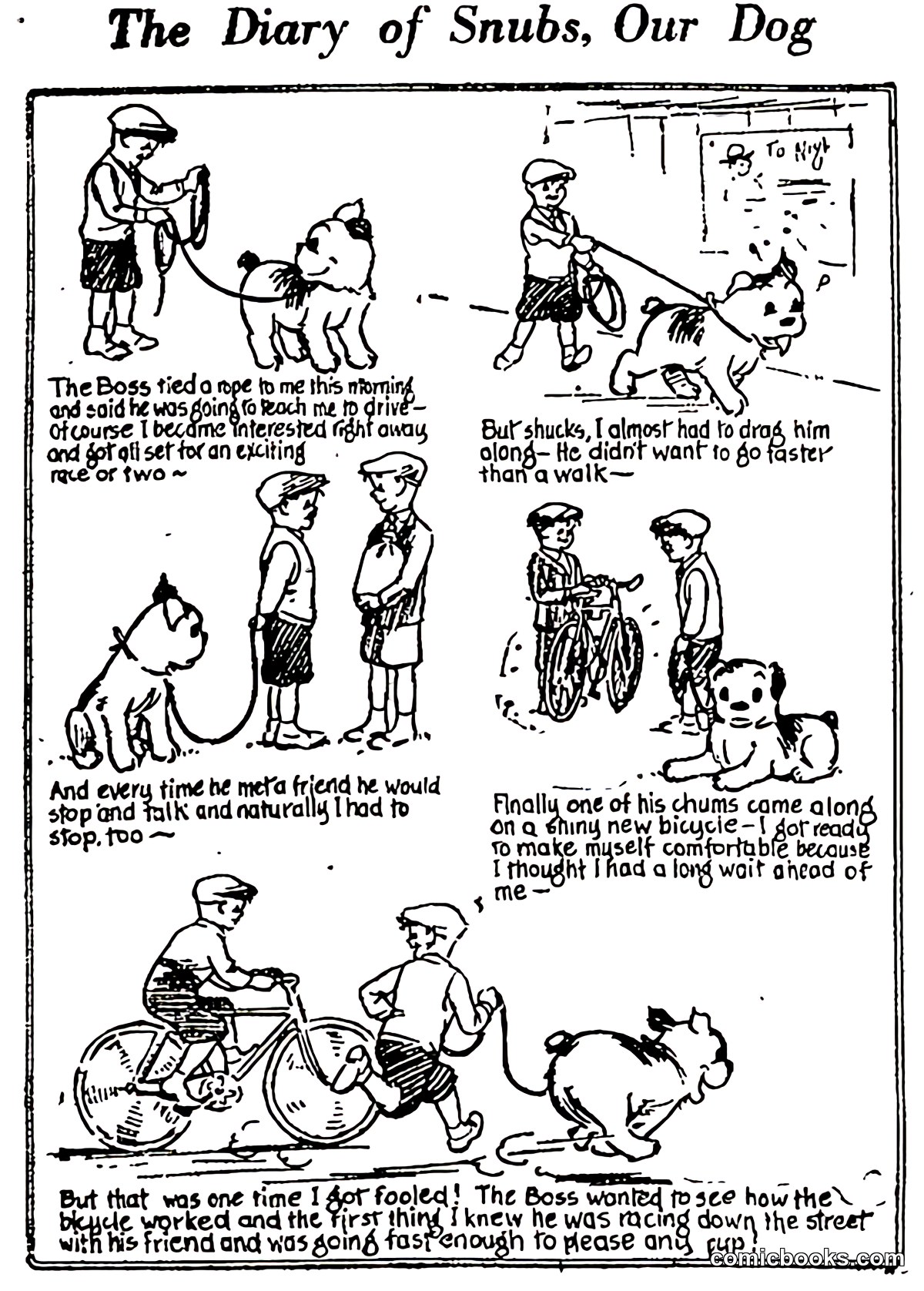 The Diary of Snubs, Our Dog