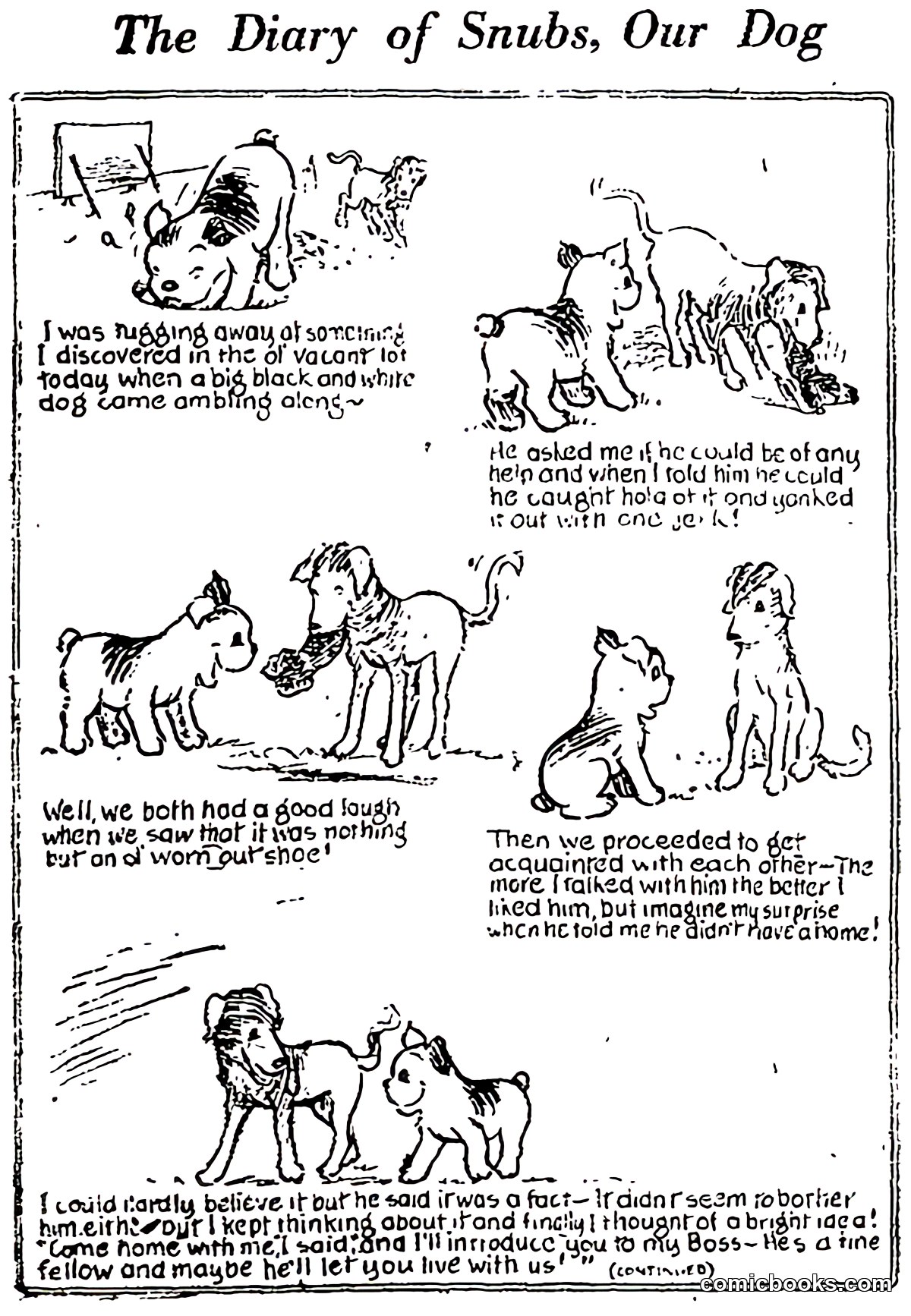 The Diary of Snubs, Our Dog