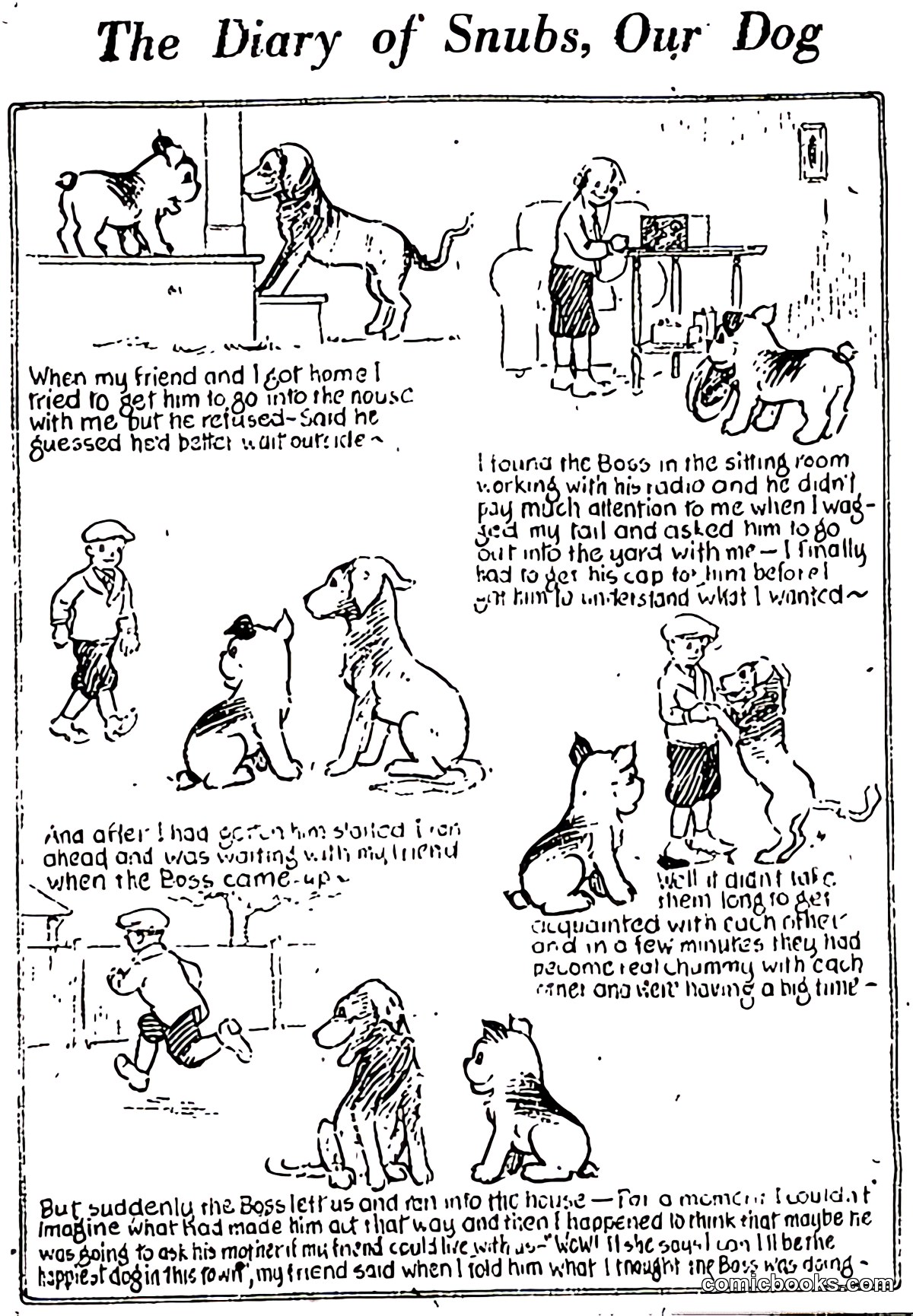 The Diary of Snubs, Our Dog