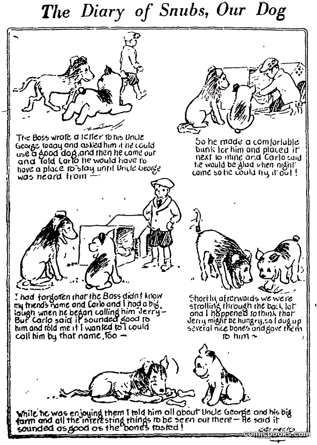 The Diary of Snubs, Our Dog