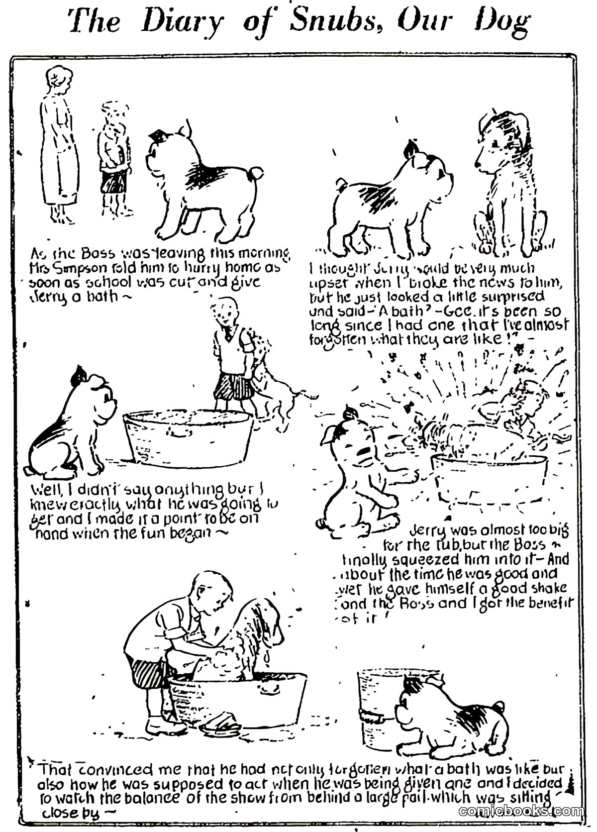 The Diary of Snubs, Our Dog