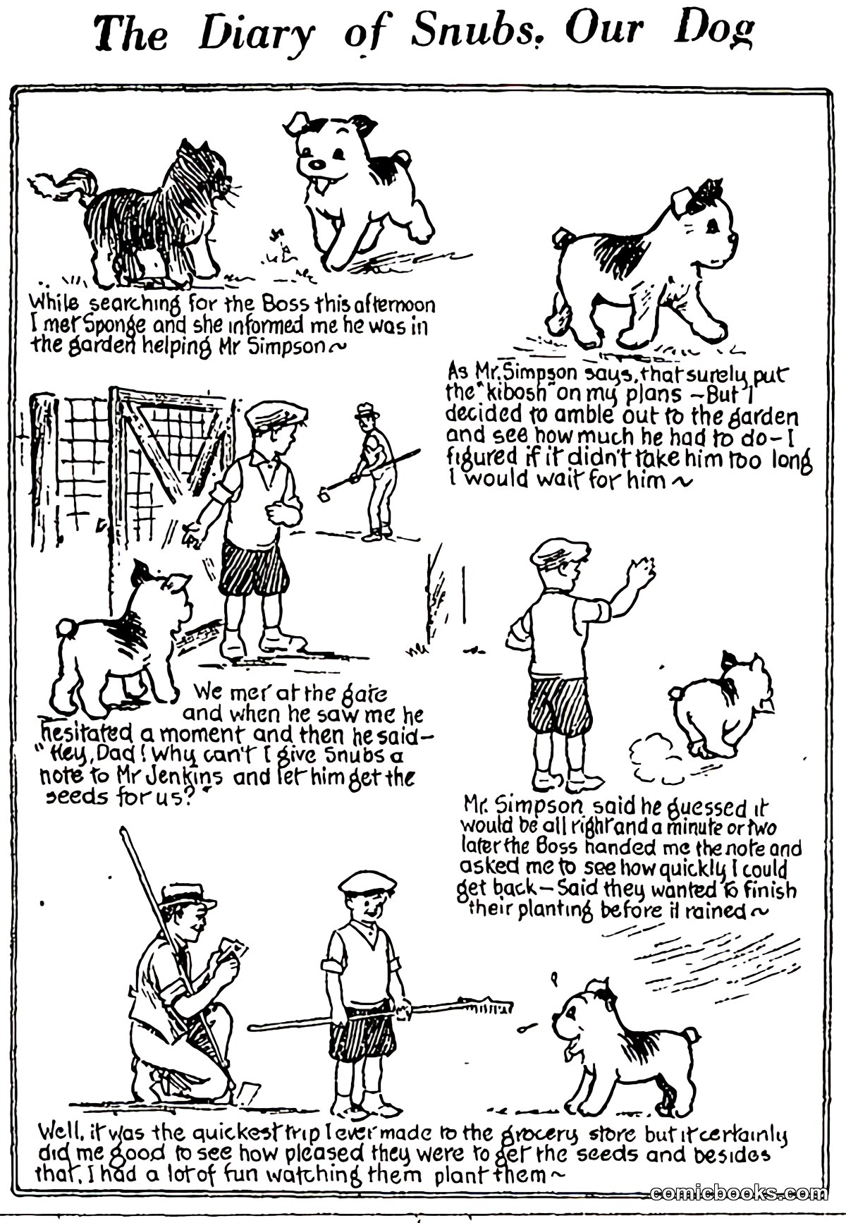 The Diary of Snubs, Our Dog