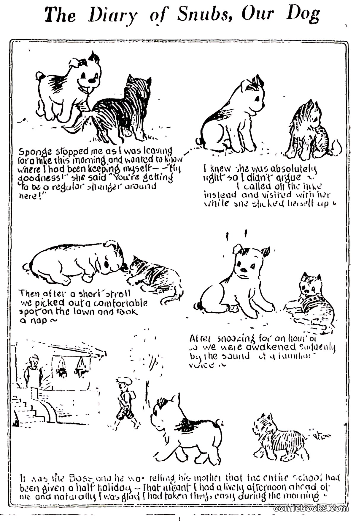 The Diary of Snubs, Our Dog