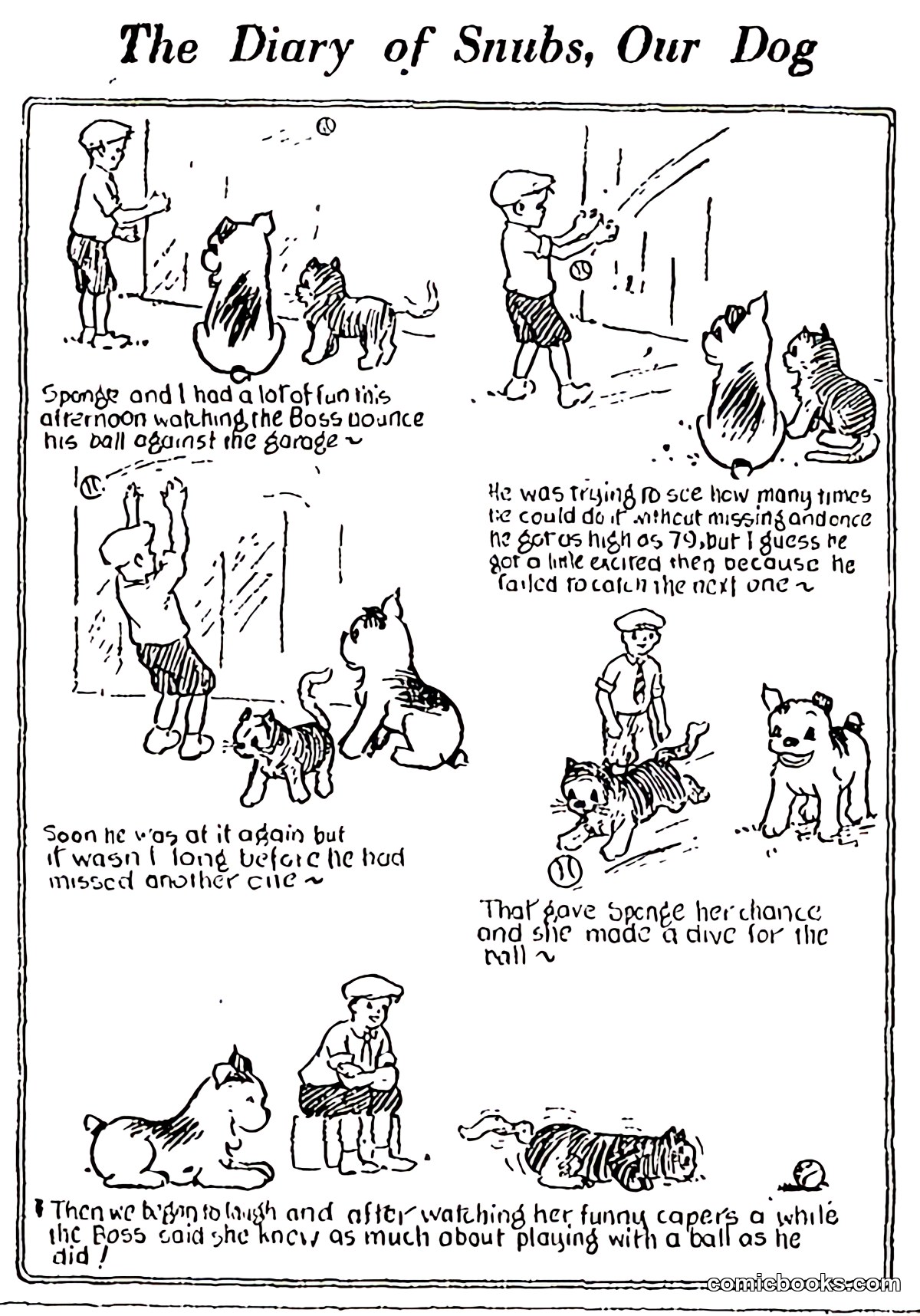 The Diary of Snubs, Our Dog