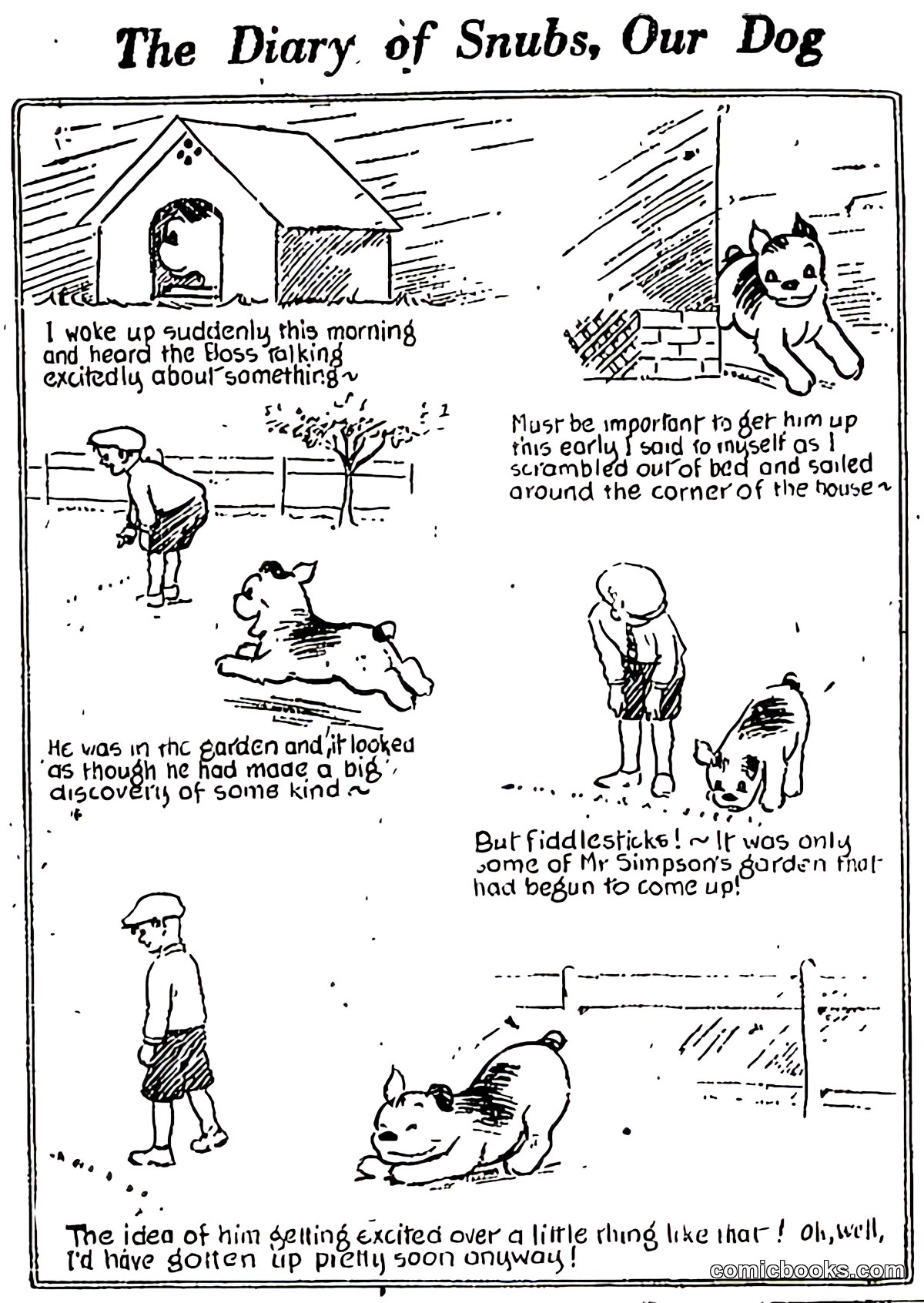 The Diary of Snubs, Our Dog