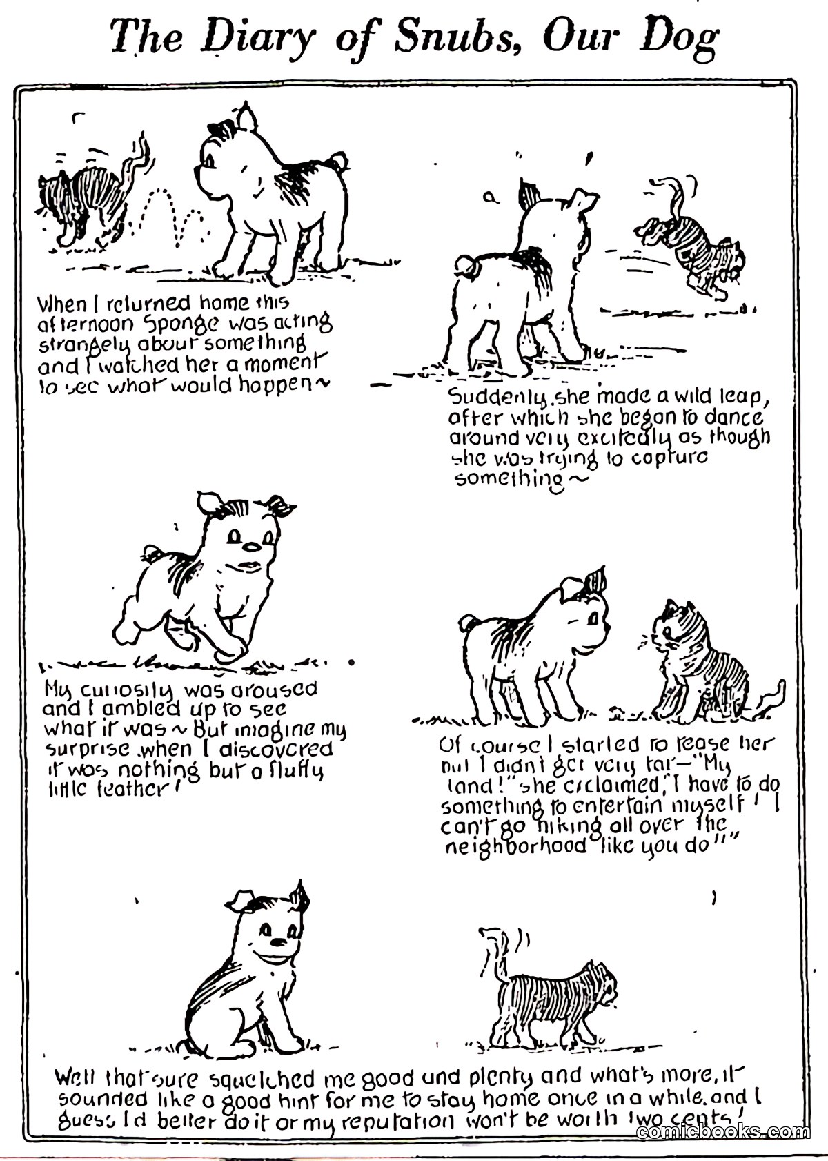 The Diary of Snubs, Our Dog
