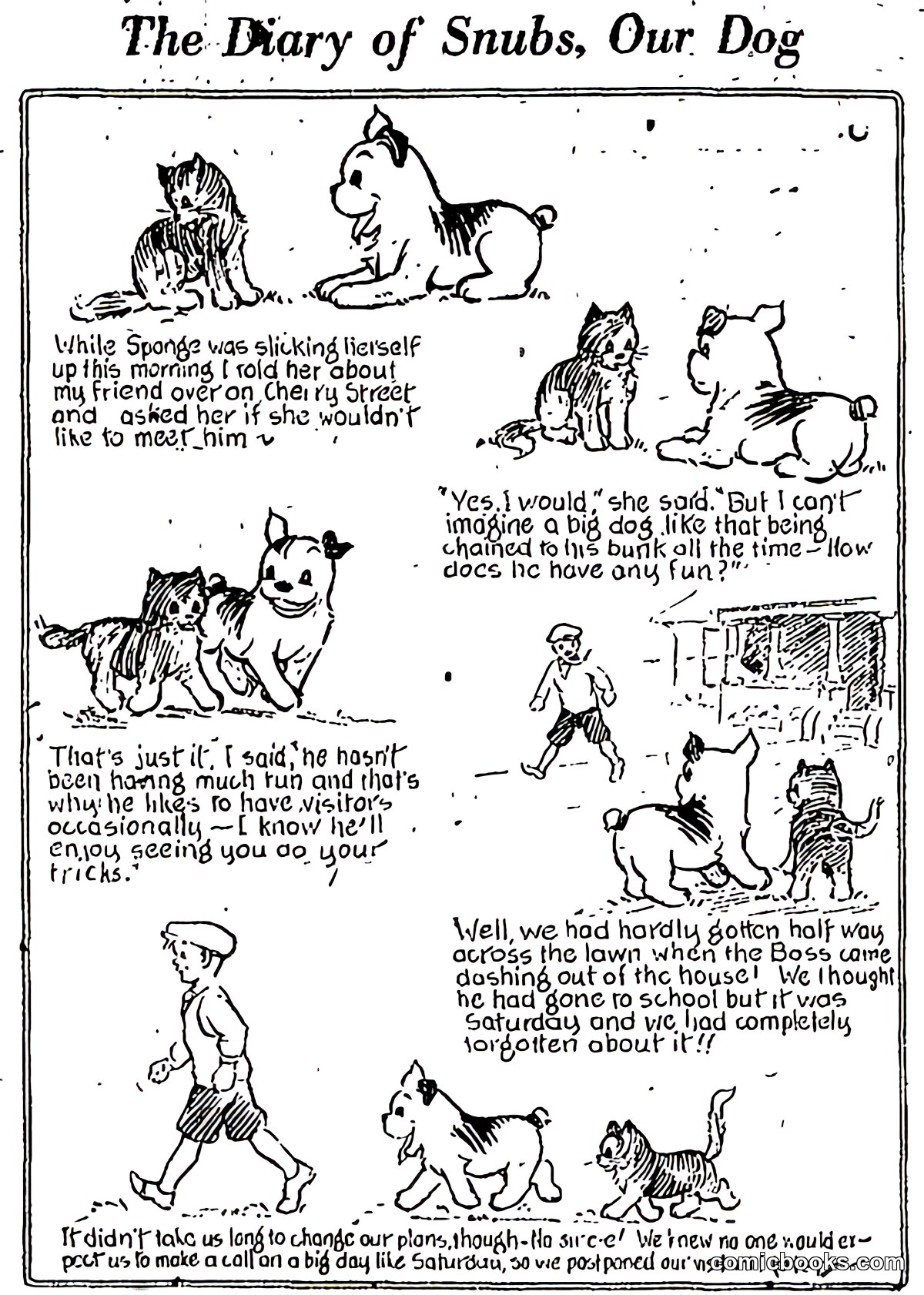 The Diary of Snubs, Our Dog
