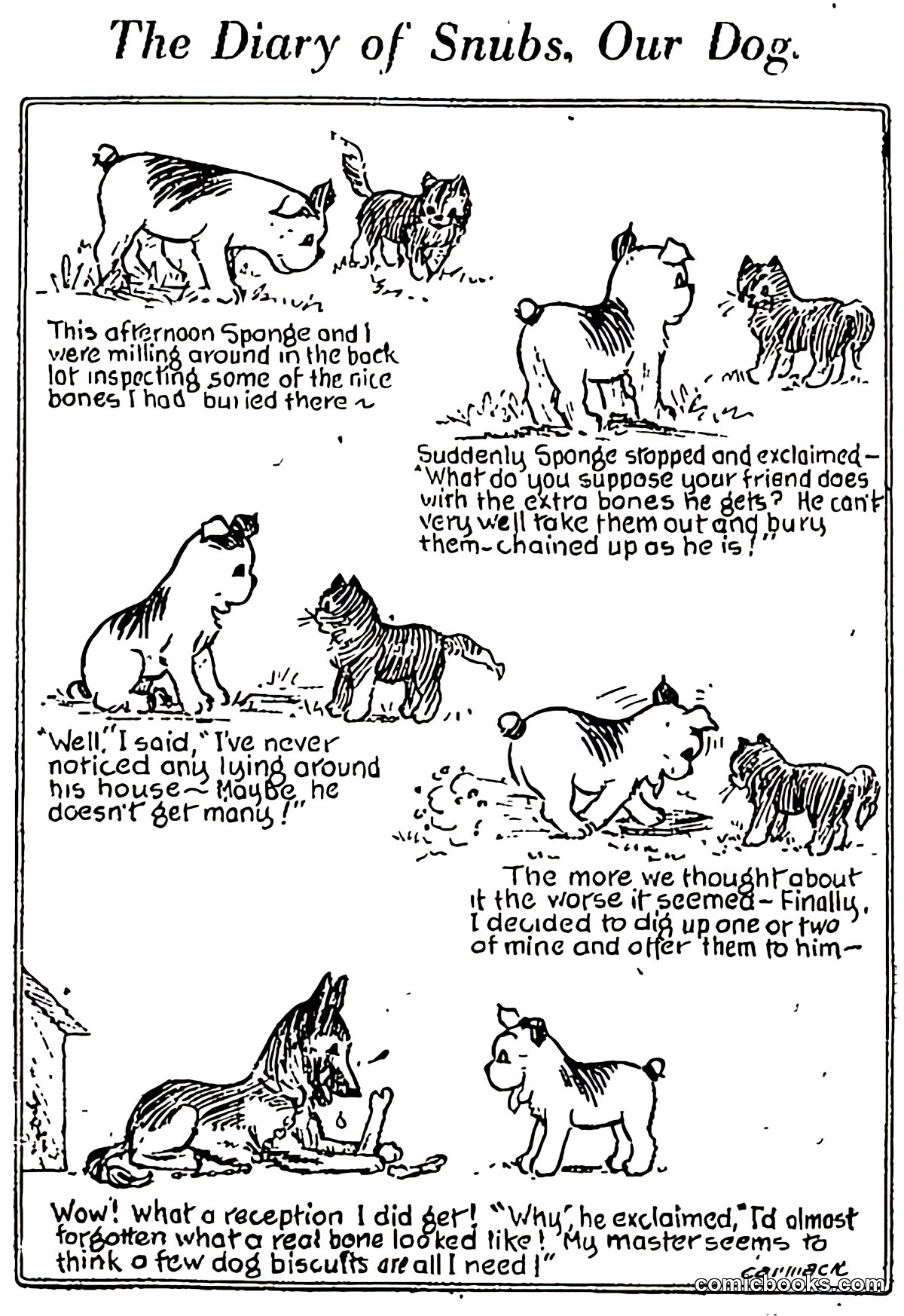 The Diary of Snubs, Our Dog