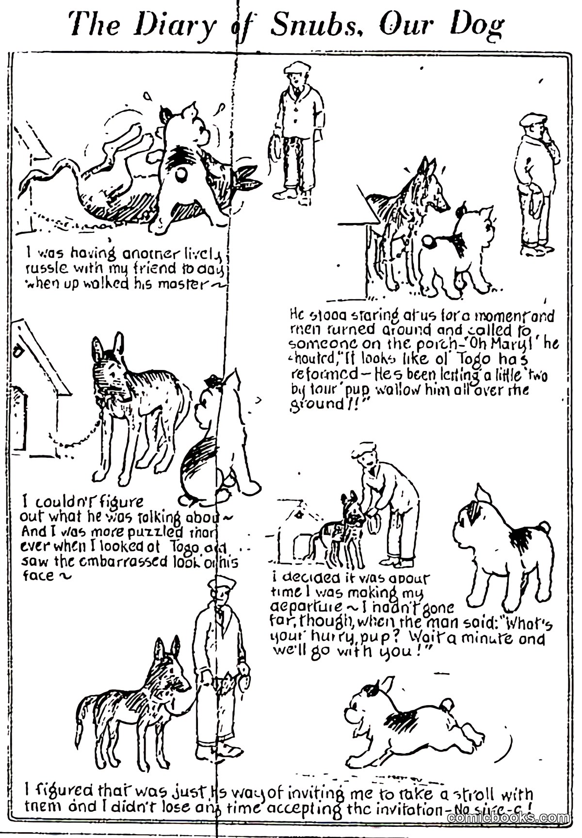 The Diary of Snubs, Our Dog