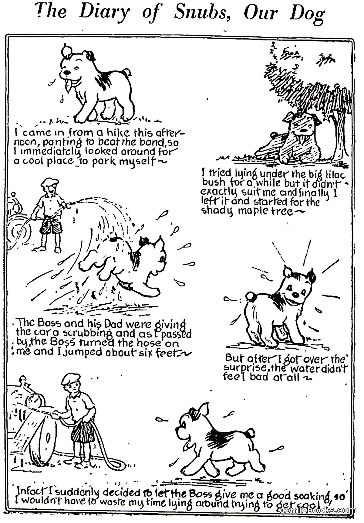 The Diary of Snubs, Our Dog