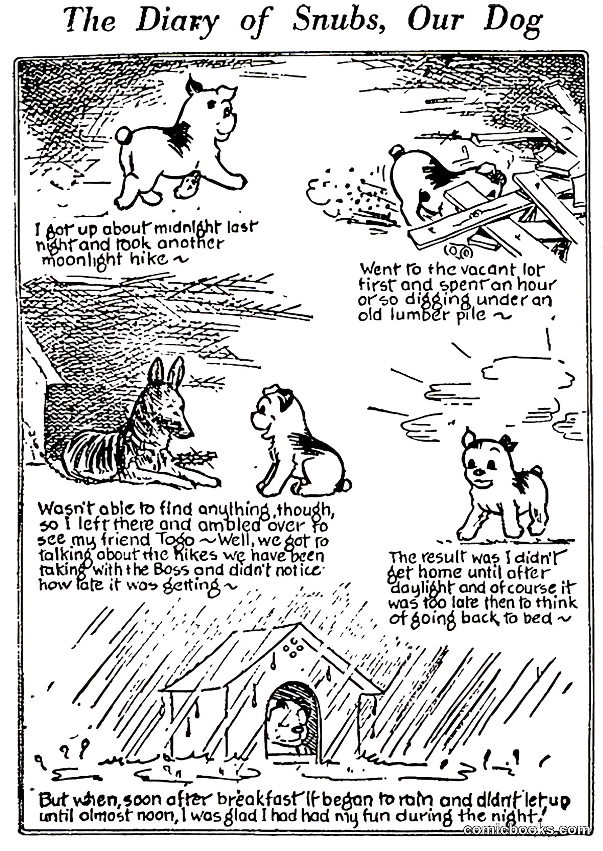The Diary of Snubs, Our Dog