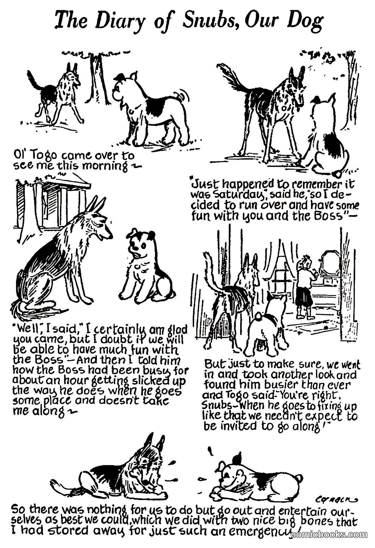 The Diary of Snubs, Our Dog