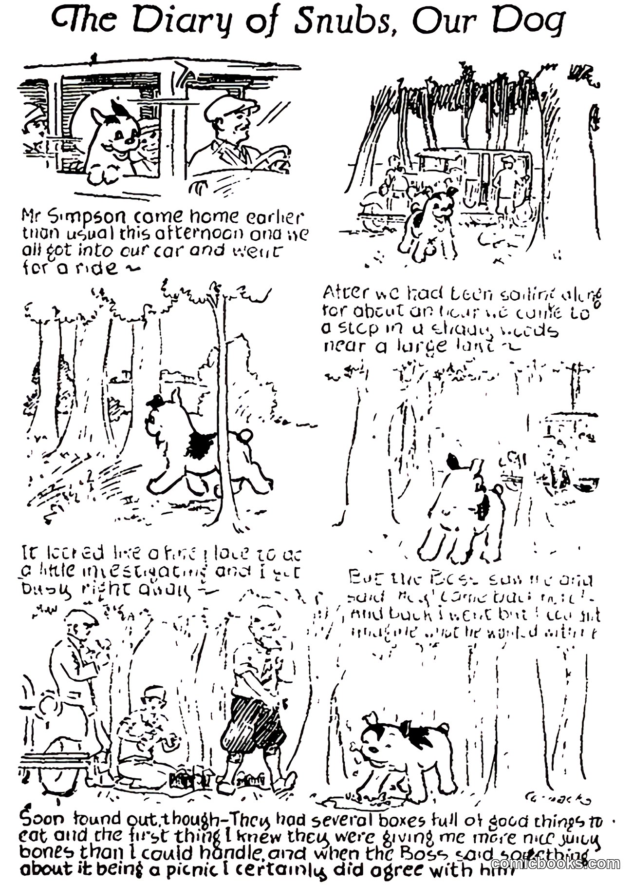 The Diary of Snubs, Our Dog