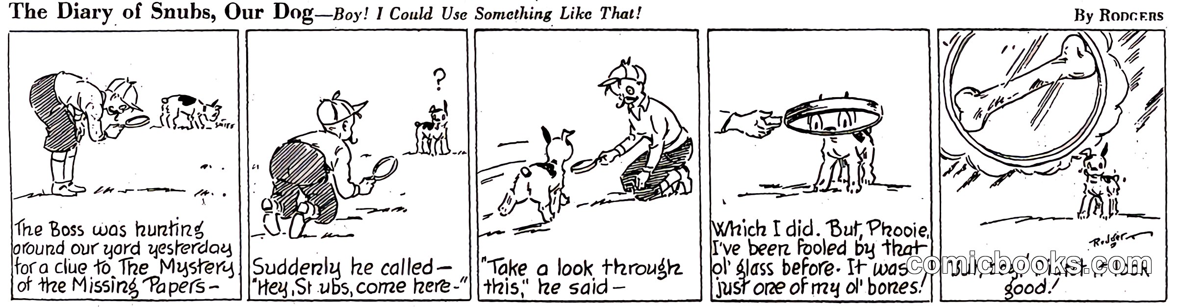 The Diary of Snubs, Our Dog