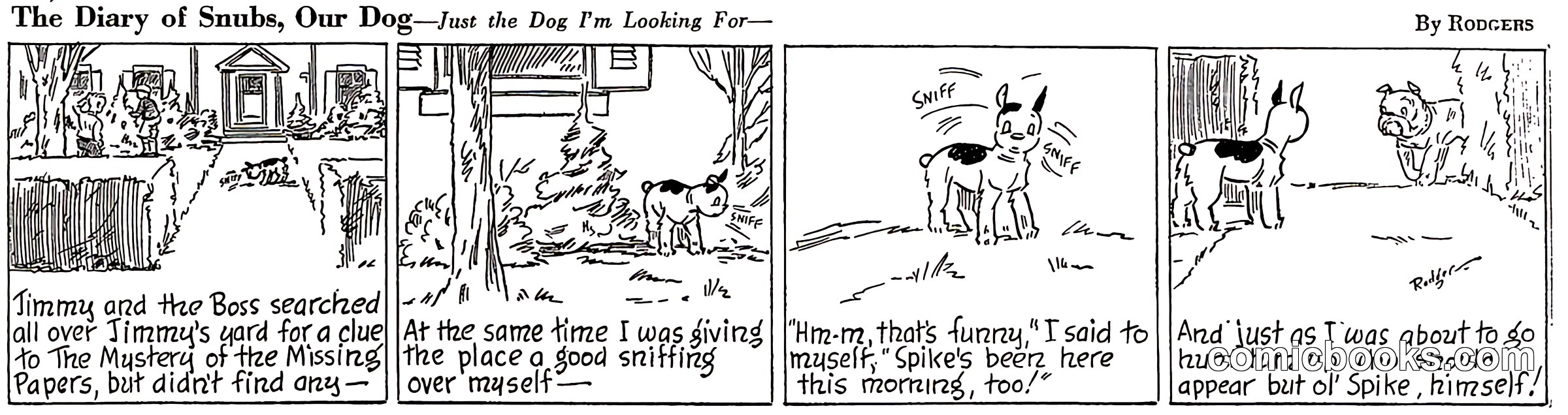 The Diary of Snubs, Our Dog