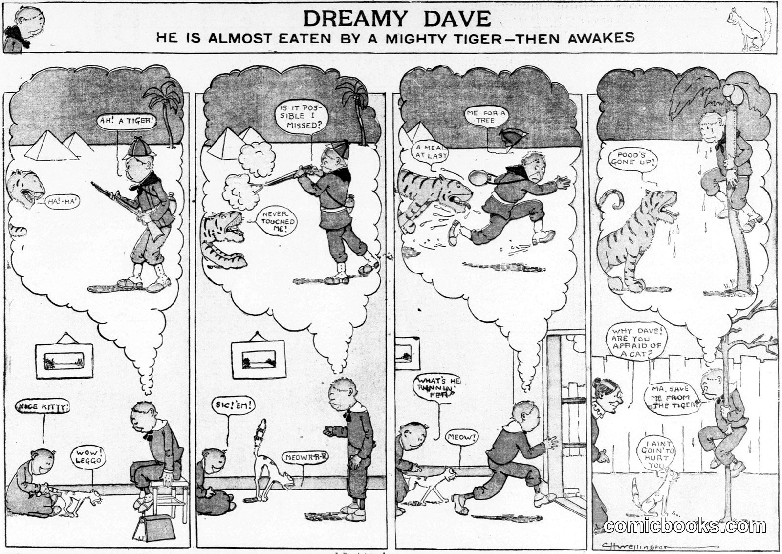 Dreamy Dave