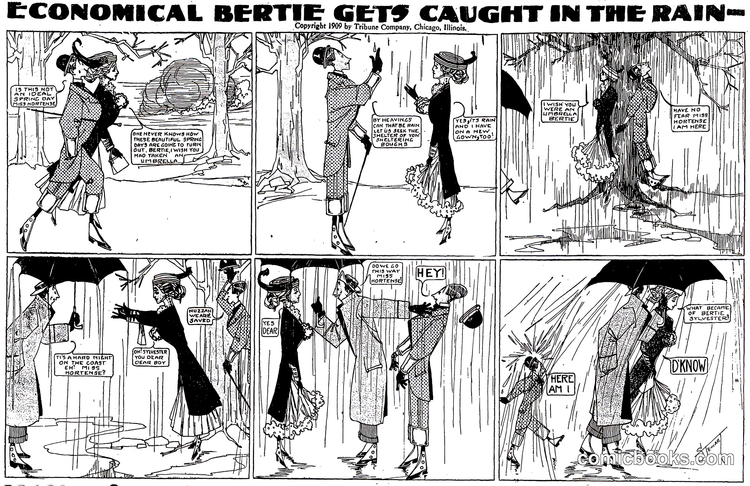 Economical Bertie Gets Caught in the Rain