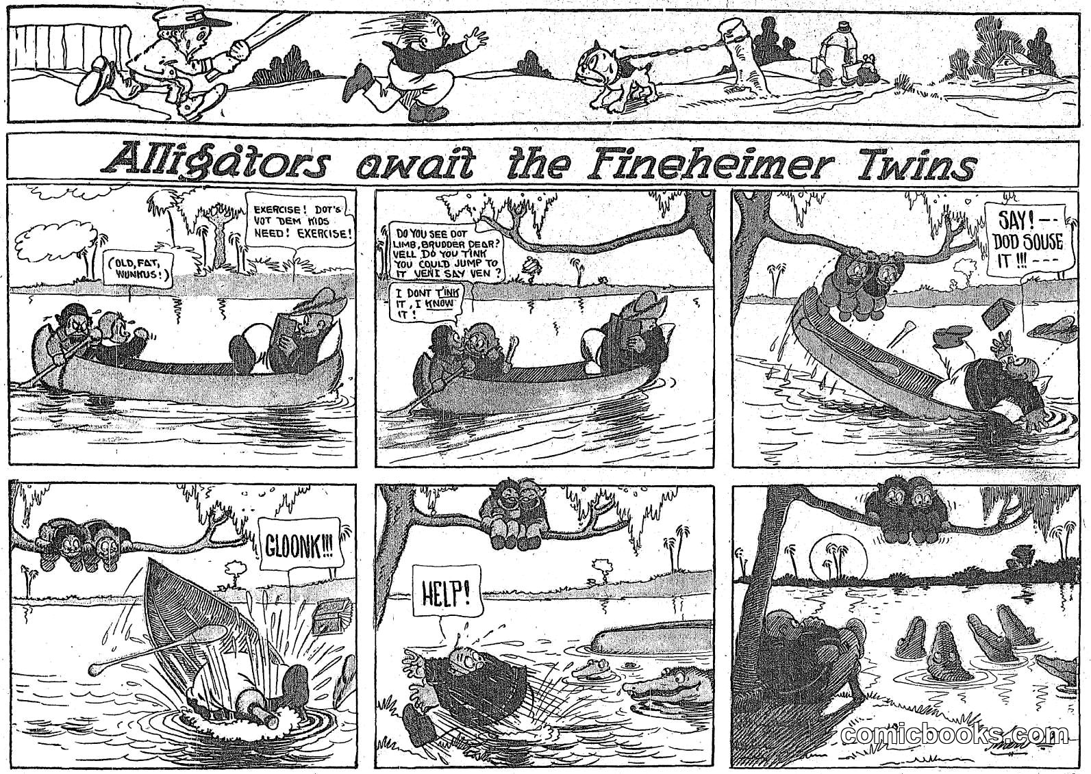 Alligators Await the Fineheimer Twins