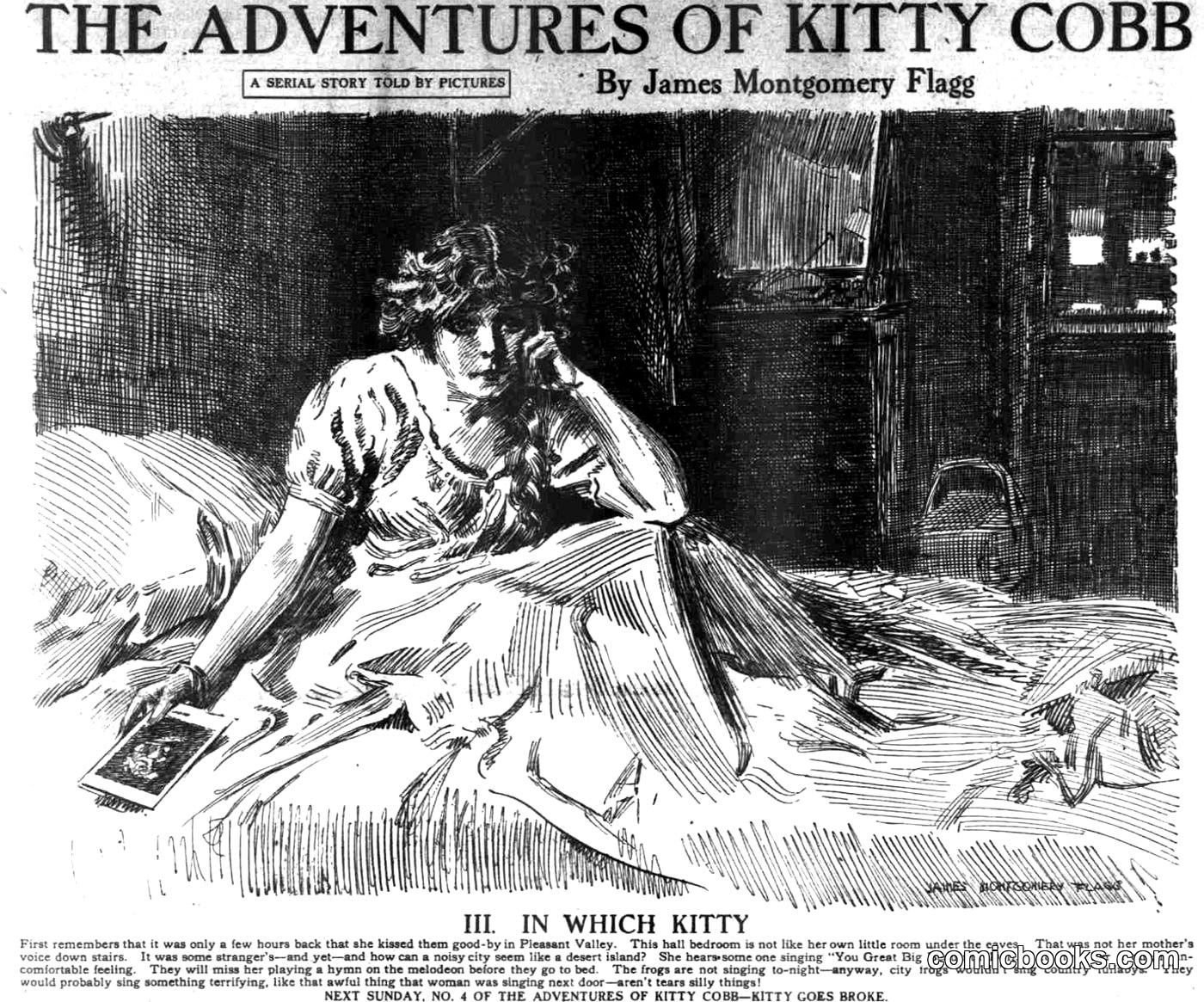 The Adventures of Kitty Cobb