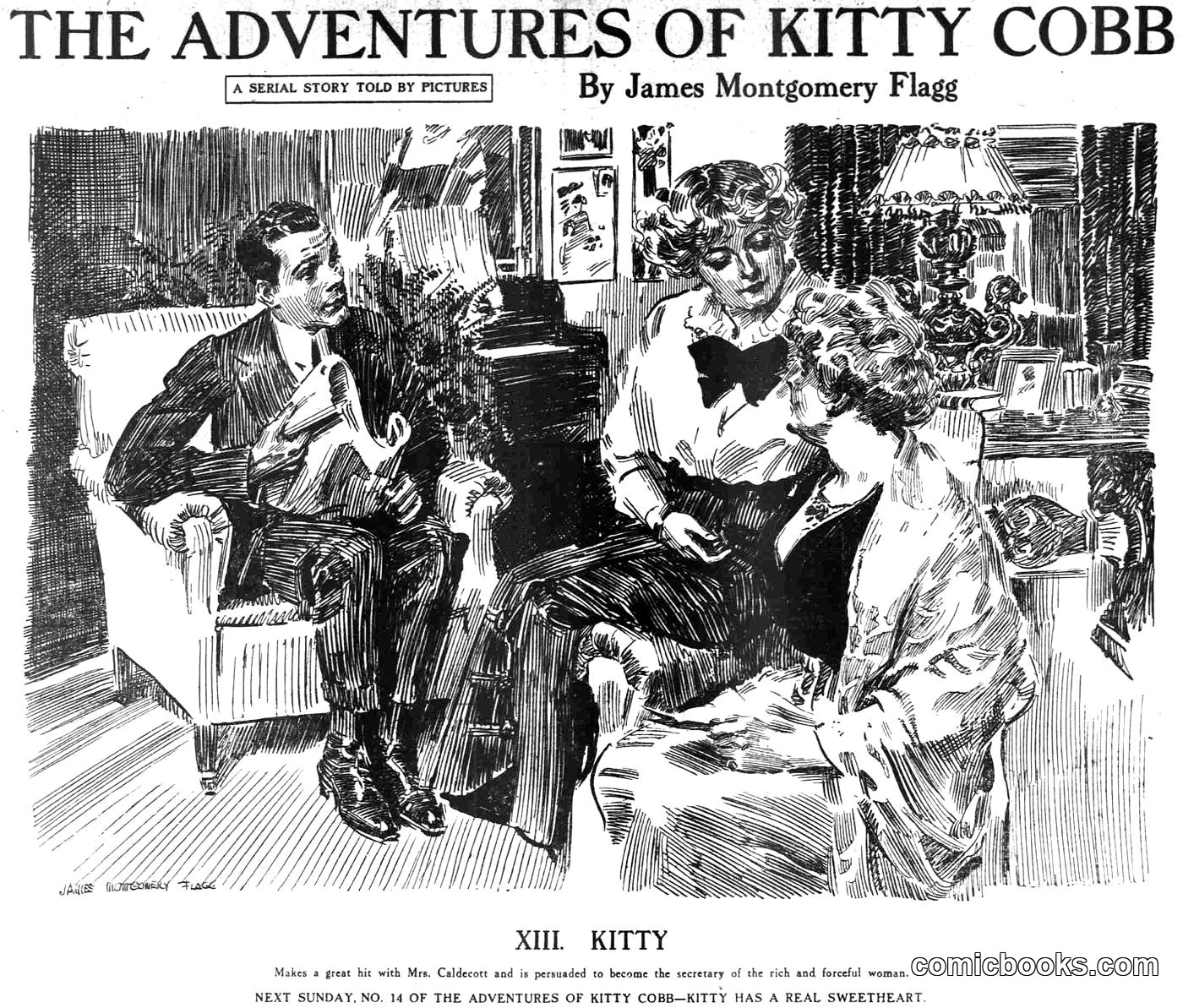 The Adventures of Kitty Cobb